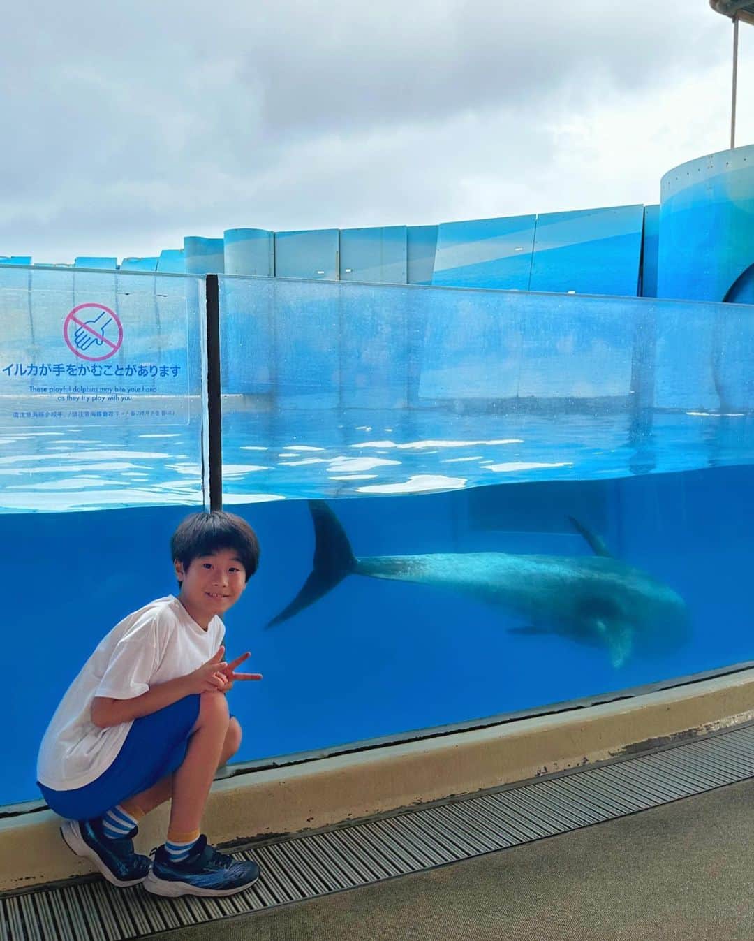 中道あすかさんのインスタグラム写真 - (中道あすかInstagram)「＼＼#ほぺたろうの夏休み 3️⃣🐬／／ ほぺが幼稚園の頃は#年パス 買って しょっちゅう遊びに行っていた #新江ノ島水族館 ですが、 . . ここ最近行けてなかったので この#夏休み に久しぶりに行ってきたよ〜🐬🌴 . . 私は#フウセンウオ と#カエルウオ が 大好きすぎて #えのすい 行ったらずっと見ちゃう😍 . 可愛すぎる、、、 . . ほぺたろうは#エイ といわしが 大好きだよ🥰 . . #イルカショー も やっぱり楽しいっ🙌 . . そいや、しばらく行かないうちに お土産売り場の半分が カフェに変わってて、 . #あわたん という新たな 江ノ水のキャラが 爆誕してたww . . . . ※気になったら後から見返すように投稿保存がオススメ📎 . . . . . 《30代ママ＆小学生息子の愛用品紹介してます✨》 (@asuroom ) . . . #なつやすみ #小学生#夏休み #夏休みの過ごし方#親子 #親子コーデ  #夏休みの過ごし方 #子連れスポット#小学生男子 #夏休み旅行 #ママ友 #男の子コーデ#日本#japan #japantravel #japantrip #魚 #魚好き #水族館デート #くらげ #江ノ島水族館 #イルカ」8月22日 16時40分 - asuroom