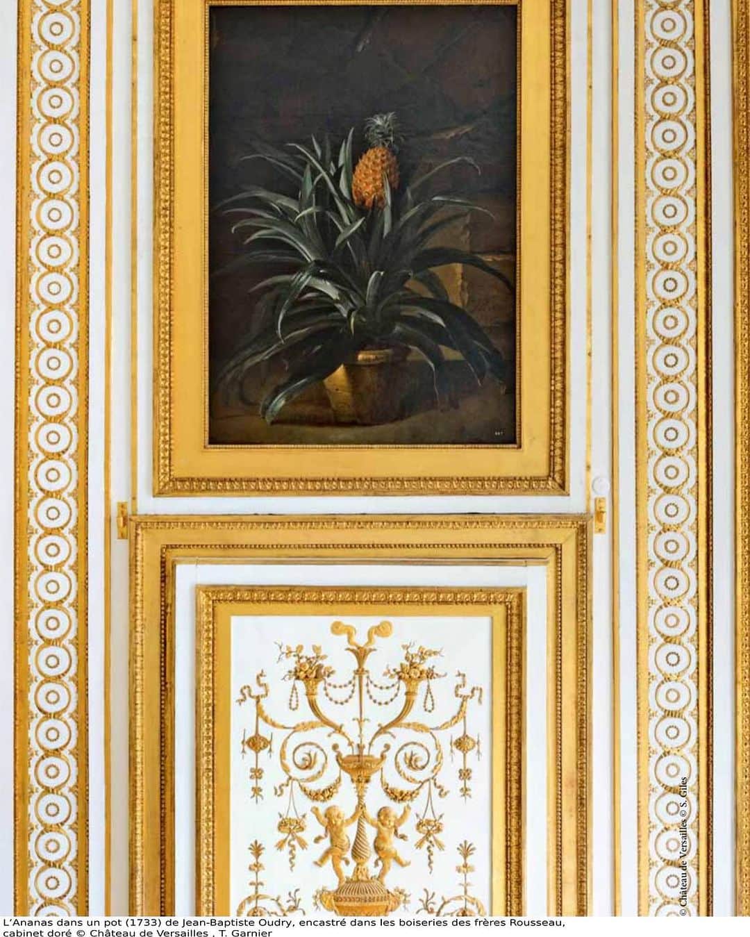 フランス大使館さんのインスタグラム写真 - (フランス大使館Instagram)「17世紀の🇫🇷では、パイナップルは権力者のみが食することができる高級食材🍍そのため、権力の象徴としてこの果実のモチーフが、当時の宝石や絵画などに登場しています。パイナップルの壁紙が使用されていたマリー・アントワネットの部屋は、ヴェルサイユ宮殿で確認できます✨ 📷: @chateauversailles」8月22日 16時58分 - ambafrancejp