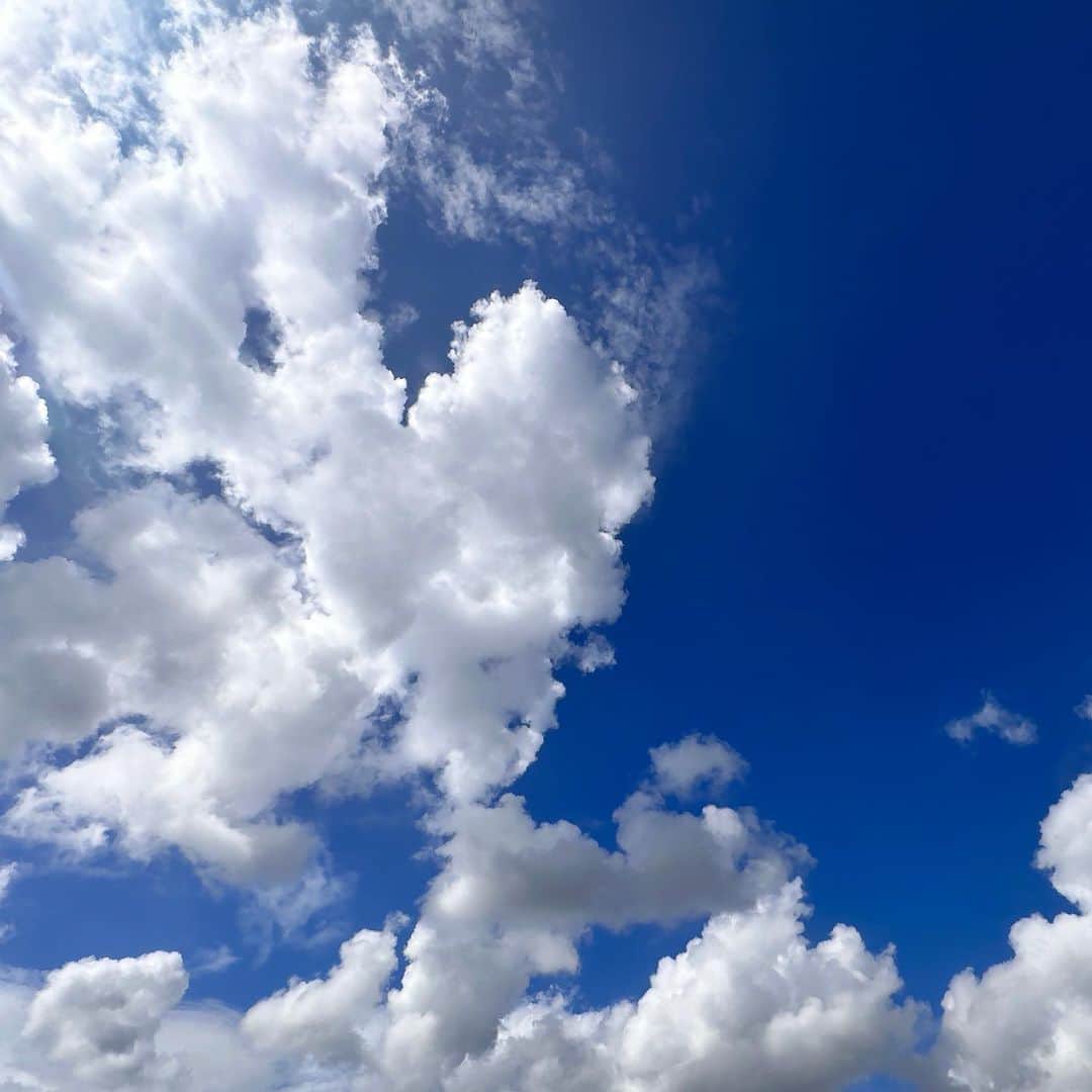 JILLさんのインスタグラム写真 - (JILLInstagram)「朝は青空とモクモク雲。 午後からは雨が降ったり止んだり、 雷もゴロゴロ⚡️。 大気不安定。  なんとか福岡ツアーファイナルがある 8/26の週末には、 天候がおさまって 穏やかになって欲しいと 願うばかりでございます🙏  #PERSONZ #8月26日_福岡電気みらいホール —————————————- PERSONZ「I AM THE BEST TOUR」  5月06日_横浜赤レンガ倉庫 5月07日_横浜赤レンガ倉庫 6月18日_高知県立県民文化ホール グリーンホール 6月24日_札幌CUBE GARDEN 7月02日_ヒューリックホール東京 7月22日-仙台rensaホール 7月23日_函館金森ホール 8月04日_名古屋ダイアモンドホール 8月05日_大阪クラブクワトロ 8月11日_新潟LOTS 8月12日_高崎芸術劇場スタジオシアター 8月26日_福岡電気みらいホール —————————————- #jillpersonz  #personz  #youtubepersonzチャンネル #note  #jillpersonz  #エアプレ #JILLプレ #ラジオ高崎 #三味線jill屋」8月22日 17時05分 - jillpersonz