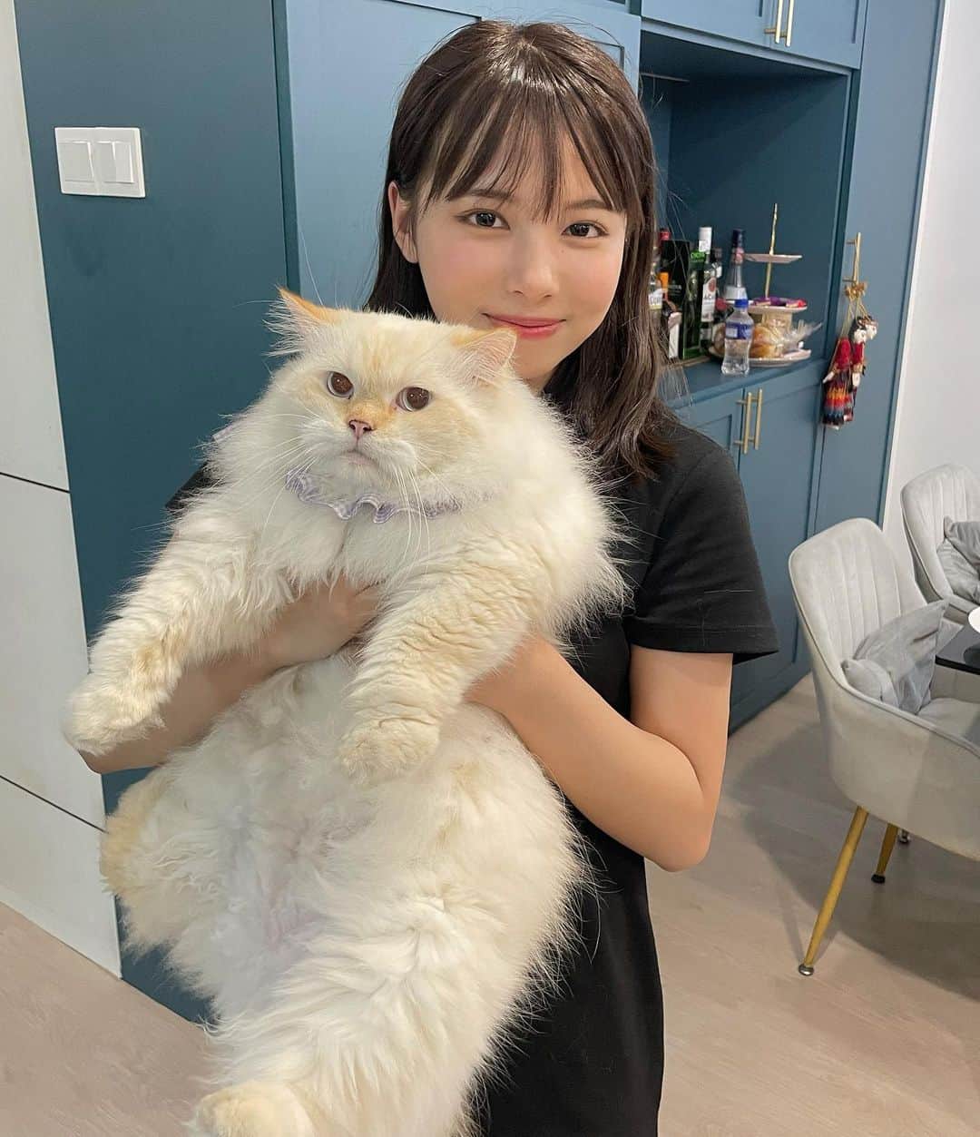 宮崎あみさのインスタグラム：「シンガポールの親戚のおうちの猫ちゃん。めっちゃでかかった😂5キロだって😂 ・ そして、チュールが好きなのは世界共通でした。」