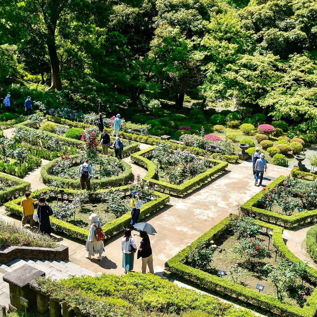 ことりっぷさんのインスタグラム写真 - (ことりっぷInstagram)「大正時代の美しい名建築「旧古河邸」と名園「旧古河庭園」へ  「旧古河邸（大谷美術館）」と「旧古河庭園」は、大正時代に東京・北区の西ヶ原の地に造られ、国の名勝に指定されている文化財です。  邸宅と洋風庭園は、イギリス人建築家のジョサイア・コンドルが設計。 館内は1階が洋風建築、2階が和風建築という、和洋共生のめずらしい構成になっています。  「旧古河庭園」は、バラで有名な洋風庭園と隣接して、京都の庭師・小川治兵衛が作庭した日本庭園も広がります。  和洋が融合した、見どころいっぱいの邸宅と庭園を訪ねてみませんか？ ----- #旧古河邸 #大谷美術館 #旧古河庭園 @otani_museum  -----  詳しくは、ことりっぷwebでご紹介しています。 プロフィールのURL、またはストーリーズからご覧ください。 @cotrip_official  #ことりっぷ #ことりっぷweb #東京 #名建築 #レトロ建築 #庭園 #コンドル #小川治兵衛 #cotrip #tokyo #visitjapan」8月22日 18時00分 - cotrip_official