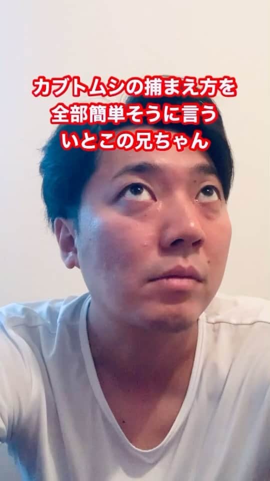 のインスタグラム：「【いとこの兄ちゃんモノマネ】 「カブトムシの捕まえ方を全部簡単そうに言ういとこの兄ちゃん」  #カブトムシ #捕まえたい #そこで一言 #早起き #行っていいか #親に聞く #正月 #夏休み #お盆 #一言ネタ #おばあちゃん家」