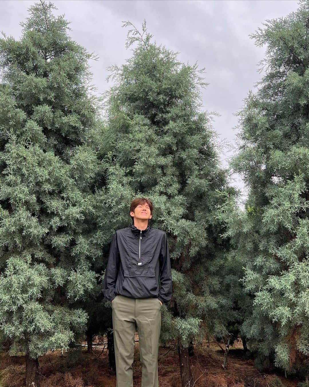 ファン・グァンヒのインスタグラム：「자세히 보면 나무마다 색이 달라요 . 한번 볼까요? 초록색 청록색 연두색 청초록연두색등 멋져요 🌲🌳🥦🪷」