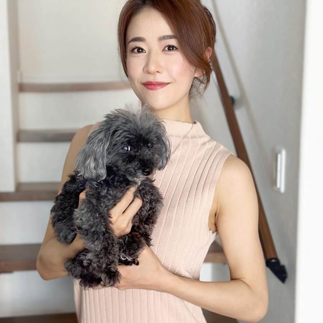 しろまっするのインスタグラム：「・ 写メだとあんまり小さく見えないんだけど、1.7kgのおちび🐶  来月13歳✨️ 1分1秒でも一緒にいる時間を大切にしたい🫶💗  てんかん発作もあったり、気管虚脱もあるので大変な事も多いけれど、一緒にいる時間は1番の癒し💛  長生きしてね♥🕊‪  #teacuppoodle #blackpoodle #ワンコのいる生活 #シニア犬 #しろの相棒 #しろまっする」