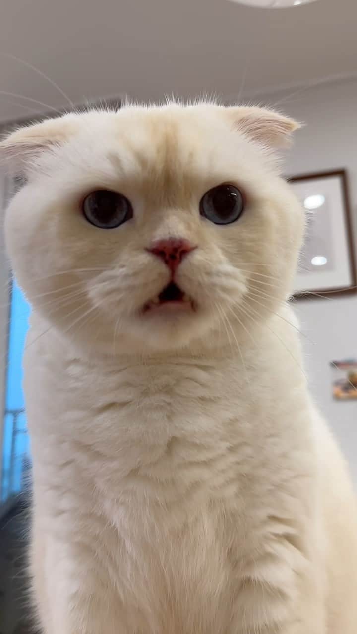 SoonMooのインスタグラム：「냄시😧  #순무 #SoonMoo」