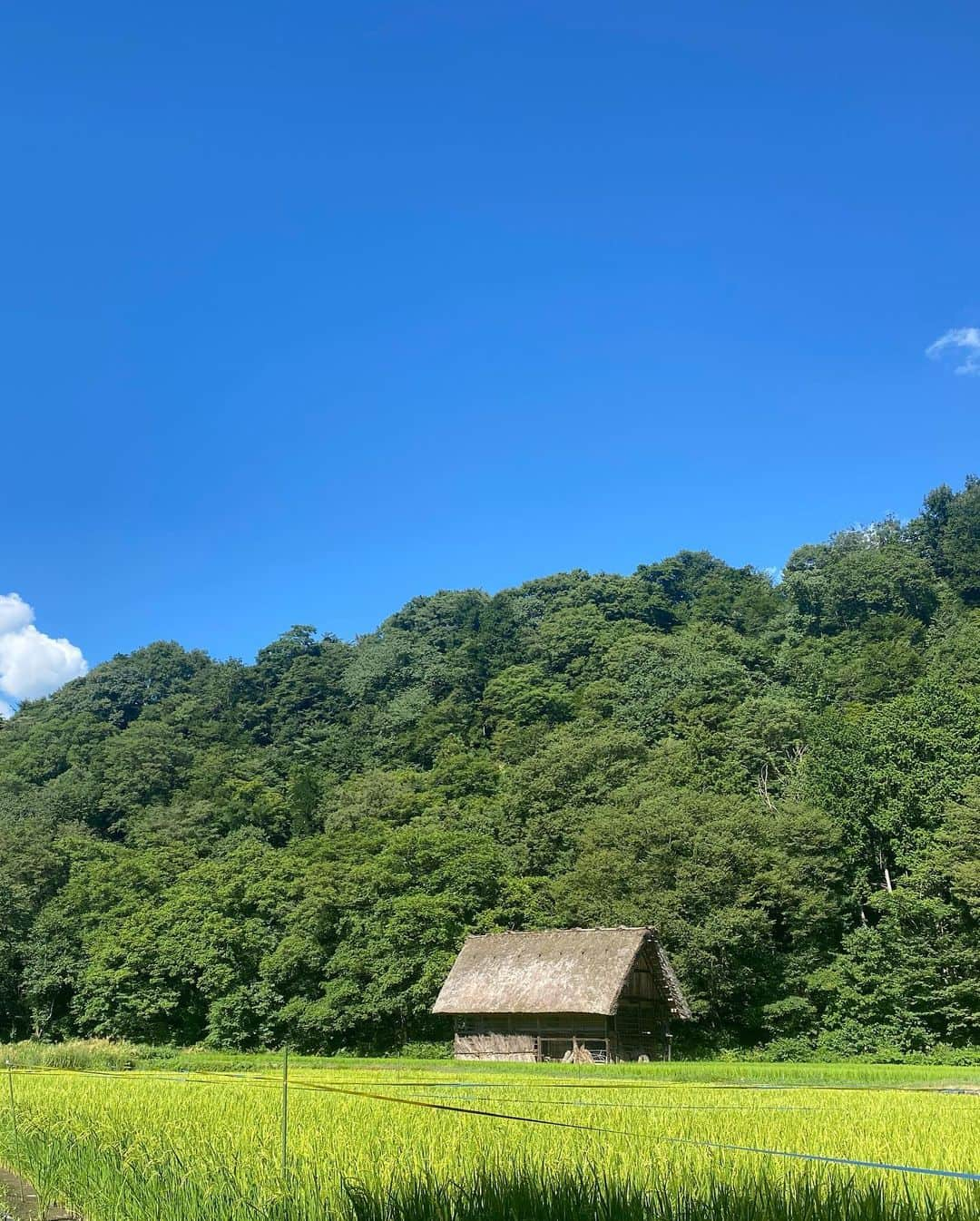 高柳愛実さんのインスタグラム写真 - (高柳愛実Instagram)「8月某日。寄り道感覚で立ち寄った15分だけの小さな花火大会が、今までに観た花火の中で一番感動しました。それから、ありとあらゆるクマに隙あらば祝福を🫰」8月22日 19時38分 - takayanagi_manami