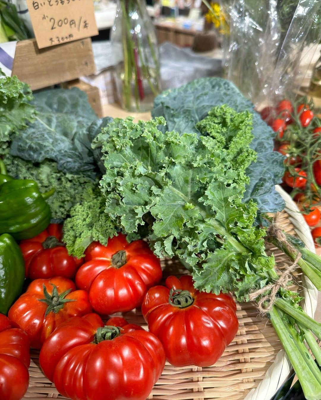 sayoko_betseyさんのインスタグラム写真 - (sayoko_betseyInstagram)「出張 Farm Store🐰🥕🌽🍅 ⁡ 無印良品つながる市 ⁡ 週末にめぐさん @taniguchimegumi_farm  のお野菜出店に合わせて私達のシェアファームからもハーブなどを一緒に出品させて頂きました🐰 ⁡ 美味しそうな野菜や、フレッシュなハーブとお花はやっぱり喜んでもらえたし、そういう物を大事に育てて世話する事の誇りをめぐさんから教わった気がします😌❤️ ⁡ シェアファームの発表会は社会勉強にもなった。 もちろんこんな壮大な事は1人でできるはずがなくて、 いつも1番シェアファームのお世話をしてて、当日も朝早くから収穫してくれた @cazina_beatriz  ←途中から店長と呼んでた ⁡ 野菜愛も人一倍。知識も豊富なカリスマ店員 @8686_haru  ←裏店長 ⁡ とメンバーが揃って成り立ちました👏 ⁡ (私は一応ディスプレイ担当🐿) ⁡ ⁡ ⁡ 野菜とかお花を育てるなんて縁がなかった私が、 北海道生活をこんなに楽しめてるのは確実に畑の皆様のおかげ🫶  そして来て下さった方々、本当にありがとうございました😊 ⁡ ⁡ #sapporo #hokkaido  #北海道 #札幌 #北海道移住 #谷口めぐみ農園 #シェアファーム #無印良品 #無印良品つながる市 #札幌PARCO #野菜が好き #ハーブ #エディブルフラワー #週末野心 #北海道に恋してる」8月22日 19時43分 - sayoko_betsey