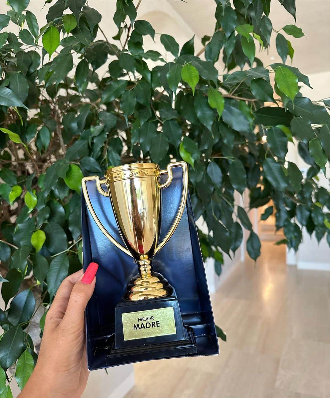 ジョルジーナ・ロドリゲスさんのインスタグラム写真 - (ジョルジーナ・ロドリゲスInstagram)「Polifacética, afortunada y agradecida con Dios 💖   ⭐️ Gio para Guees. ⭐️ Compras en Gucci, donde empezó nuestra historia de amor y vida juntos. ⭐️ Apoyando a papá en el estadio. ⭐️Spiderman y Bella haciendo buen equipo. ⭐️ Mi hogar, mi día a día. ⭐️ Selfie espejo después de entrenar. ⭐️ Bella Esmeralda deslumbrándome con su mirada. ⭐️ Mateo decorando su cama, el manitas d la casa. ⭐️ Eva sorprendiéndome en el gym con un regalo especial. Título de la obra de arte, mamá corazón. ⭐️Llevé a mis 5 soles a comprar y me sorprendieron premiándome al llegar a casa.」8月22日 19時53分 - georginagio