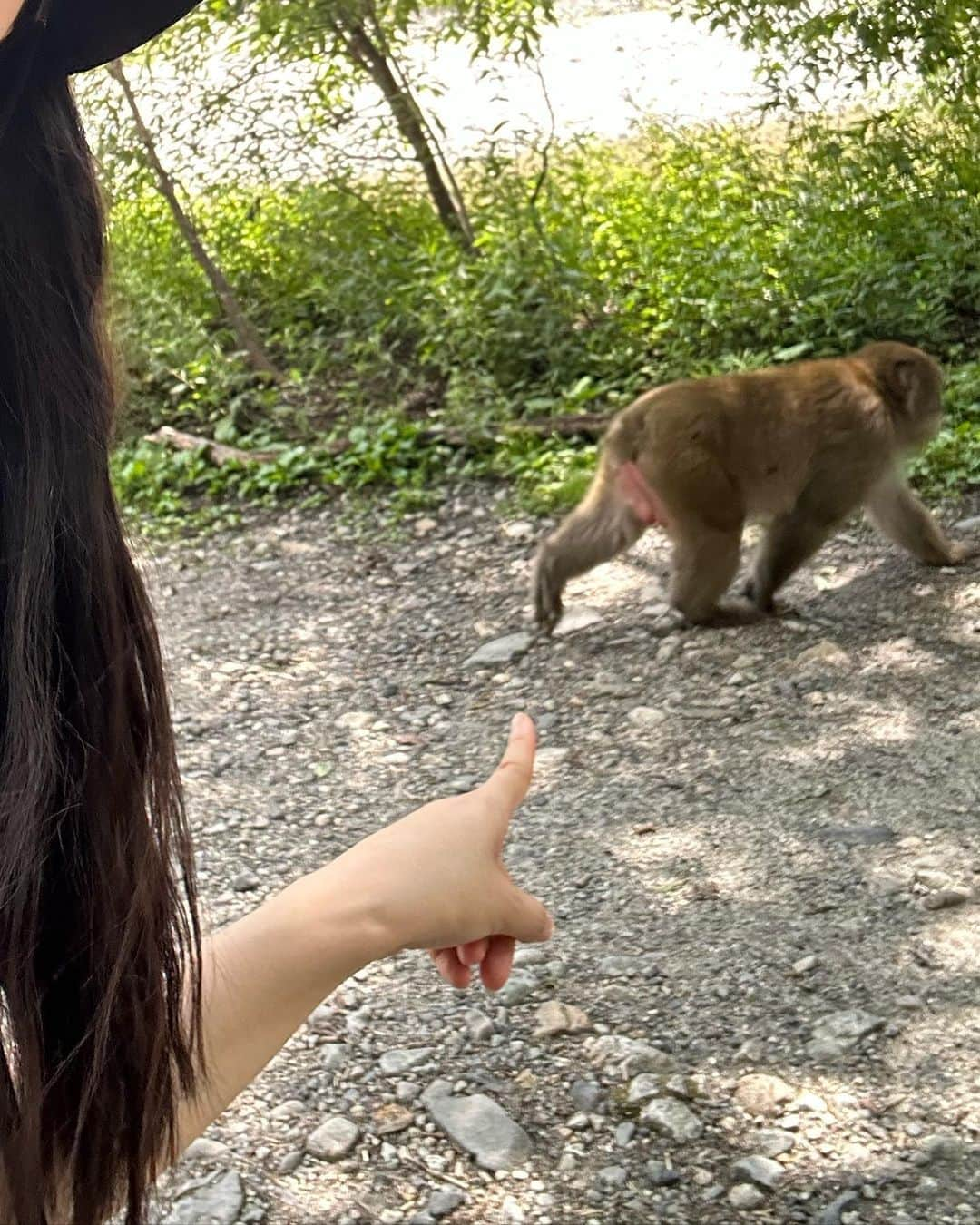 伊藤友奈さんのインスタグラム写真 - (伊藤友奈Instagram)「昨年ぶりの上高地⛰️ 以前通らなかった湿地帯を歩いて。 自然のパワーすごい  all @sheinofficial shoes @salomon  #上高地#岳沢湿地#河童橋#明神池 #kamikochi#japanmountain #ハイキングコーデ#山ガール #山ガールファッション#ハイキング」8月22日 20時23分 - youna.ito