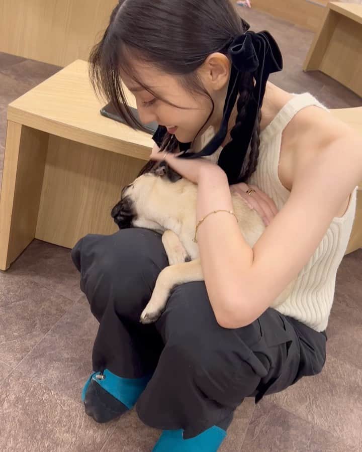 吉井美優のインスタグラム：「連れて帰るところだった 🐕🐈‍⬛  #犬カフェ#猫カフェ」