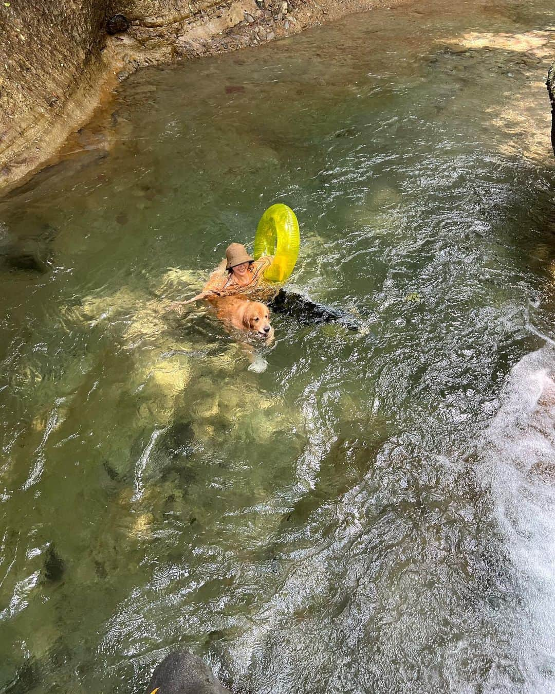 今田美奈さんのインスタグラム写真 - (今田美奈Instagram)「今田家の夏休み🏞️✨ ベイは、もうすっかり泳げるようになったから今年は一緒に泳げる夏☀️最高！    #goldenretriever#retriever #レトリバー#ゴールデンレトリバーのいる生活 #ゴールデンレトリバー」8月22日 20時37分 - _minaimd.j_