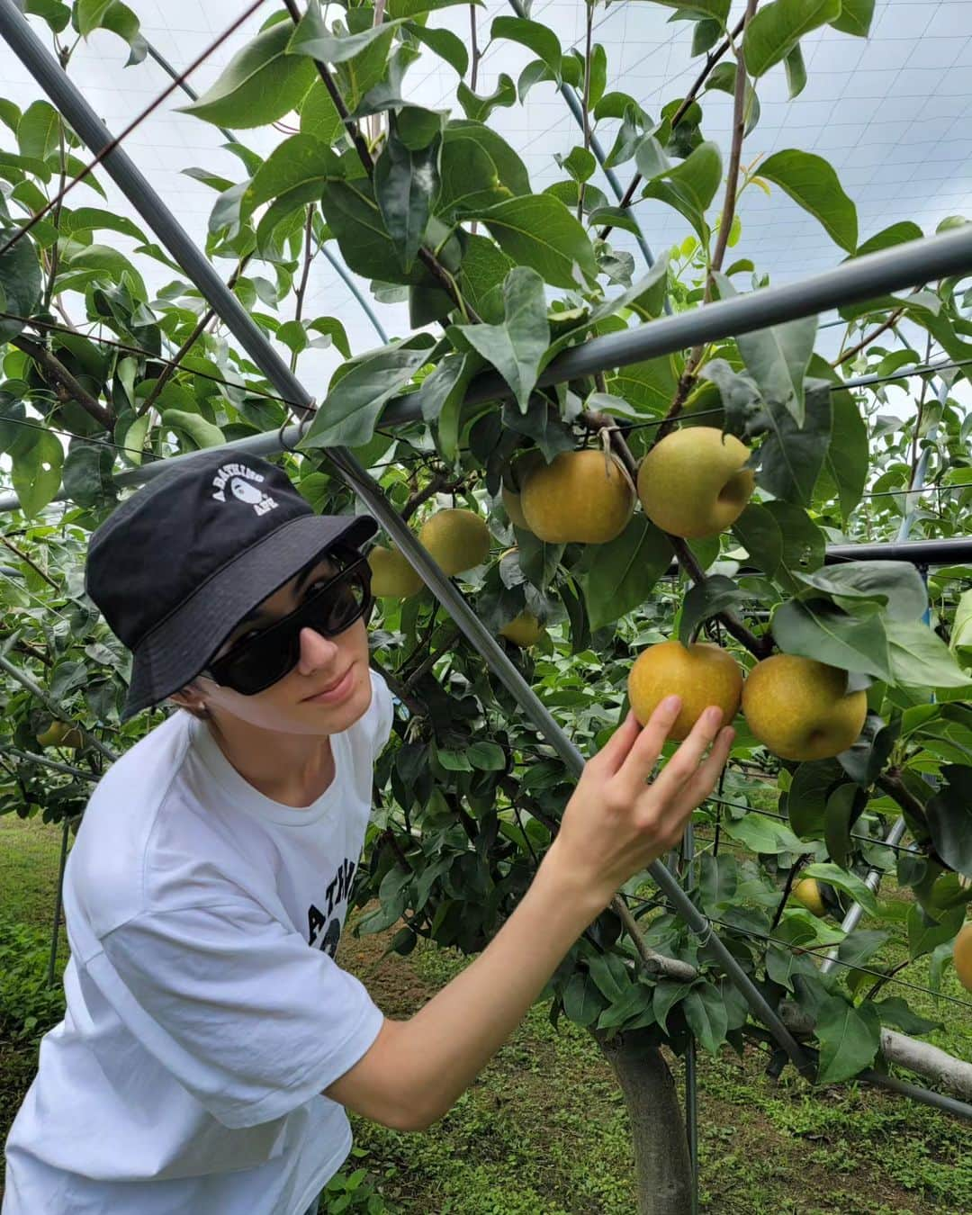 翔さんのインスタグラム写真 - (翔Instagram)「久留米に行った時の思い出🥒 Went to my grandparents house down in Fukuoka ⁡ ⁡⁡ ⁡#久留米市⁡ ⁡#フルトリエ中村果樹園⁡ ⁡#梨狩り⁡ ⁡#小春ちゃん⁡ ⁡#成田山」8月22日 20時38分 - sho0509official