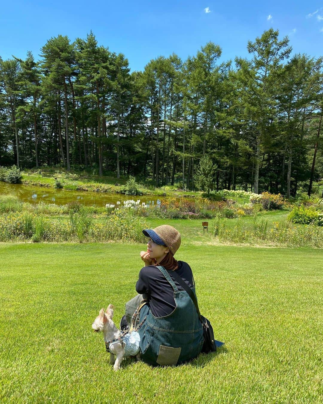 溝口恵のインスタグラム：「山梨に行ったらいつも寄る公園へ🌻 私と旦那さんもお気に入りなんだけど、なにより愛犬ひじきさんが1番楽しそうにしているので、連れていく私達も自然と笑顔になります☺️🐶 緑がいっぱいで気持ちいい🌳  この日のデニムワンピにカバンはsheinさんのです👗 sheinでお買い物の際はクーポンよければ使ってみてね→megu2023  #ひじめぐ #犬 #わんこ #dog #愛犬 #shein #sheinforall #デニム #デニムワンピース」