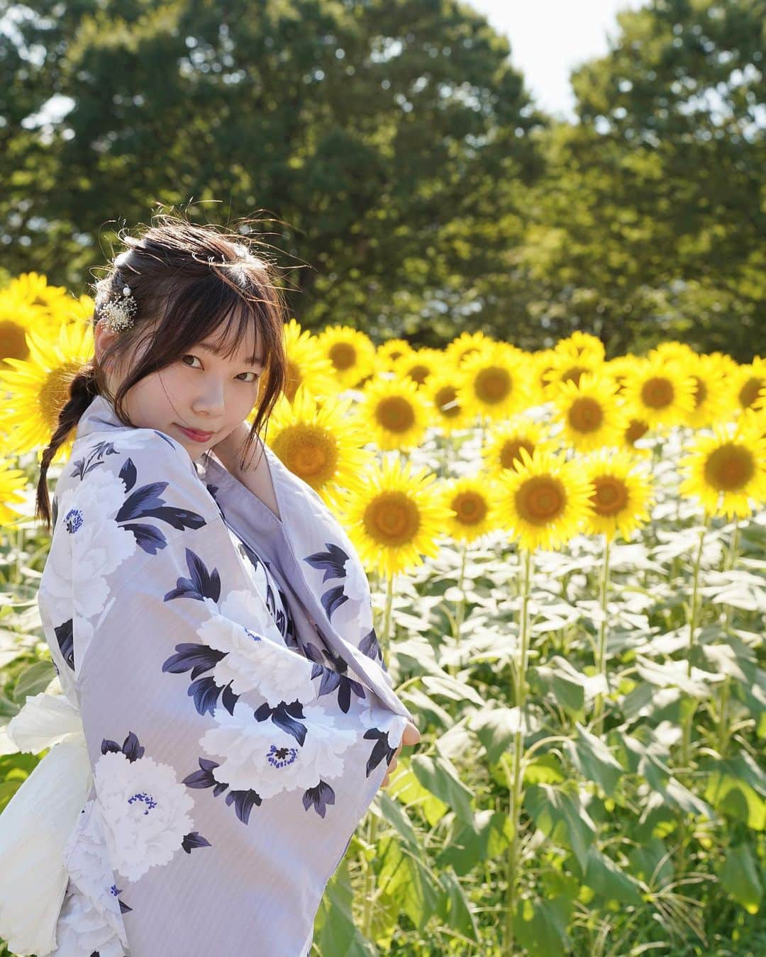 山之内優美さんのインスタグラム写真 - (山之内優美Instagram)「ひまわり🌻🌻🌻🌻  #国立昭和記念公園  #ひまわり畑 #ポートレート #撮影モデル #お花畑 #浴衣 #夏」8月22日 20時45分 - _yuuupochan