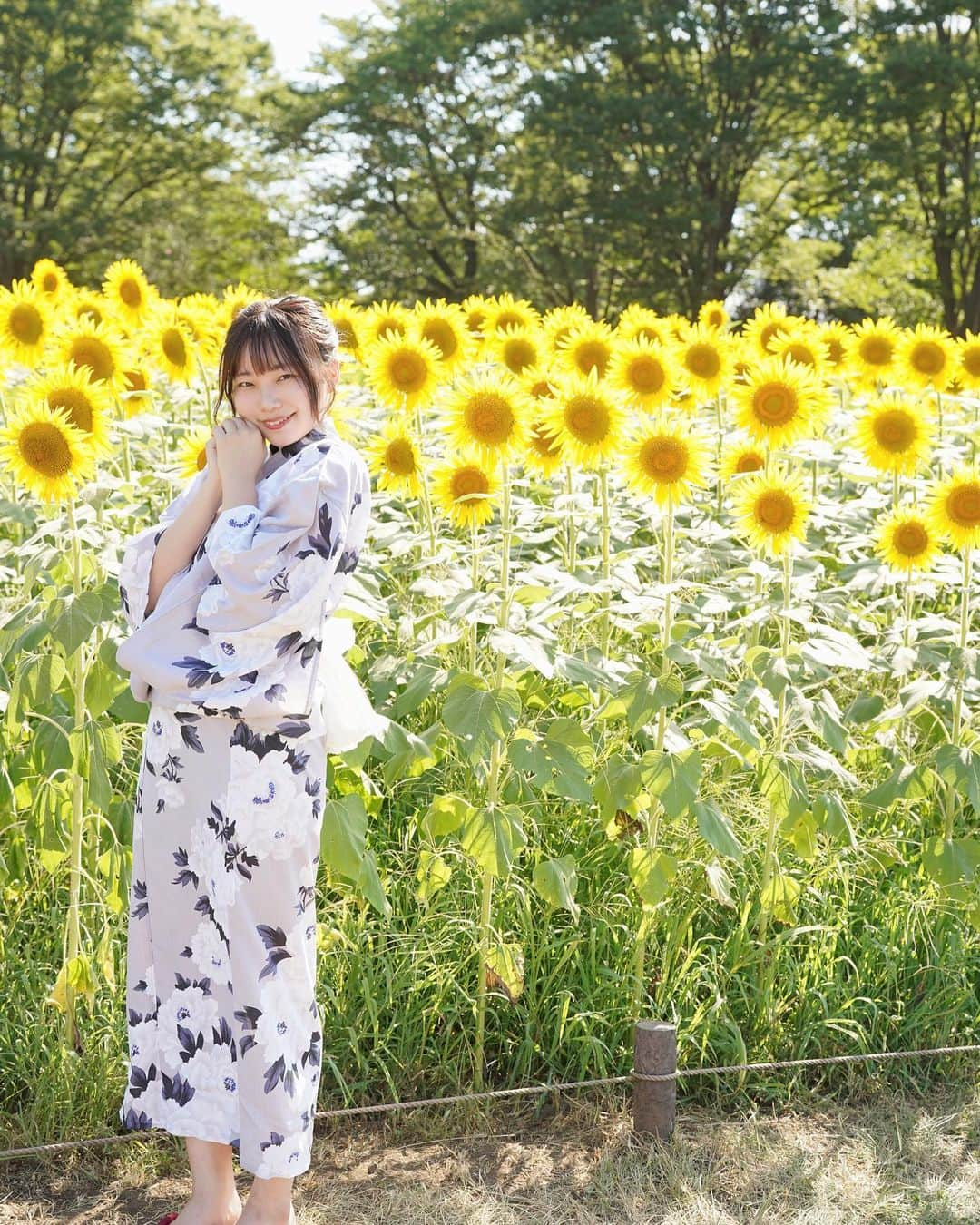 山之内優美さんのインスタグラム写真 - (山之内優美Instagram)「ひまわり🌻🌻🌻🌻  #国立昭和記念公園  #ひまわり畑 #ポートレート #撮影モデル #お花畑 #浴衣 #夏」8月22日 20時45分 - _yuuupochan