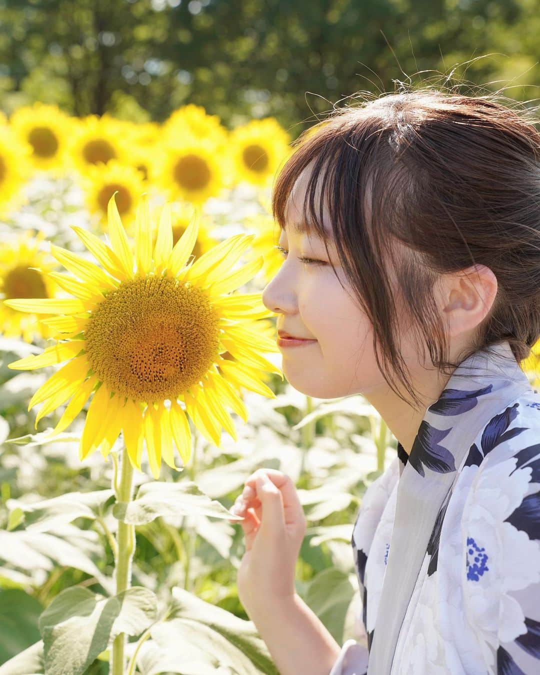 のインスタグラム：「ひまわり🌻🌻🌻🌻  #国立昭和記念公園  #ひまわり畑 #ポートレート #撮影モデル #お花畑 #浴衣 #夏」