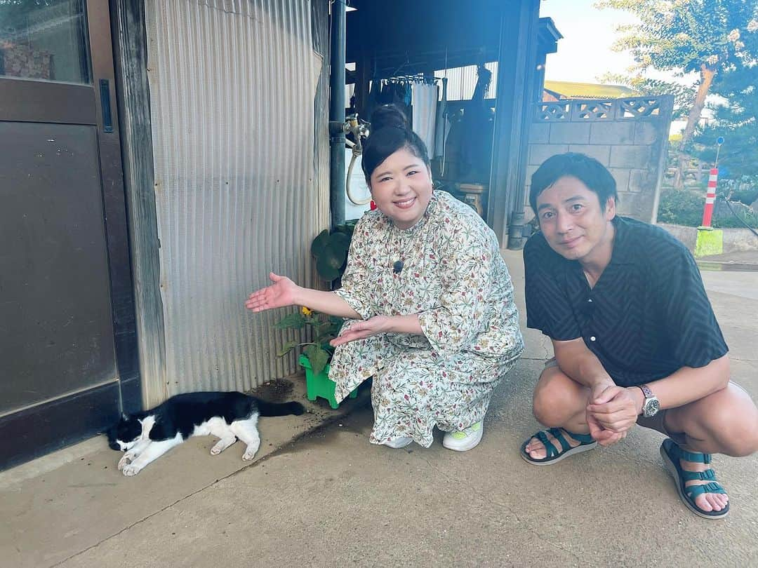 馬場園梓さんのインスタグラム写真 - (馬場園梓Instagram)「お世話になります〜  8/23(水)よる11時〜  BS-TBS  #ねこ自慢 に出させていただいてます。  今回は  #猫と夏休み 特集！  キャンピングカー で旅する猫さん  スイカ農家の看板猫さん  などなど  かわいい子達に囲まれて  たくさん癒され  しあわせな時間を過ごさせてもらいました。  手作りにゃんごはんのレシピも教えてもらいましたよ🍴  ぜひご覧ください🐾  徳井先生と  看板猫のチョビと  ルン♪  #yeah #bstbs #ねこ自慢 #キャンピングカー #看板猫 #緒方恵美 さん #チュートリアル #徳井義実 さん #馬場園梓  #ルン #🐾」8月22日 20時46分 - babazonoazusa