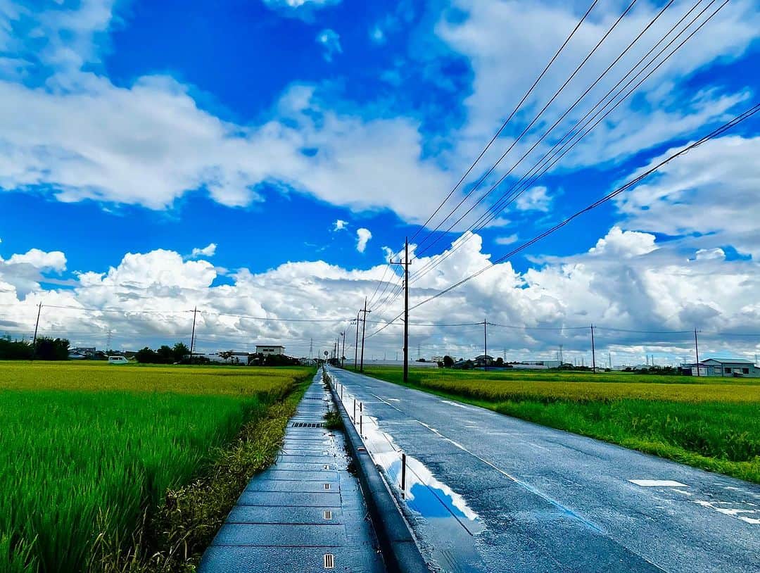 水谷千尋さんのインスタグラム写真 - (水谷千尋Instagram)「どしゃ降りの雨に降られたけど 雨上がりの景色が最高だった🌈  #日本の風景  #日本の風景写真 #田んぼ  #田んぼ #Japan #country  #countrylife  #countryhome  #Paddyfield #paddy  #ricefield  #ricefields  #ricefieldview」8月22日 20時58分 - chippy_0804