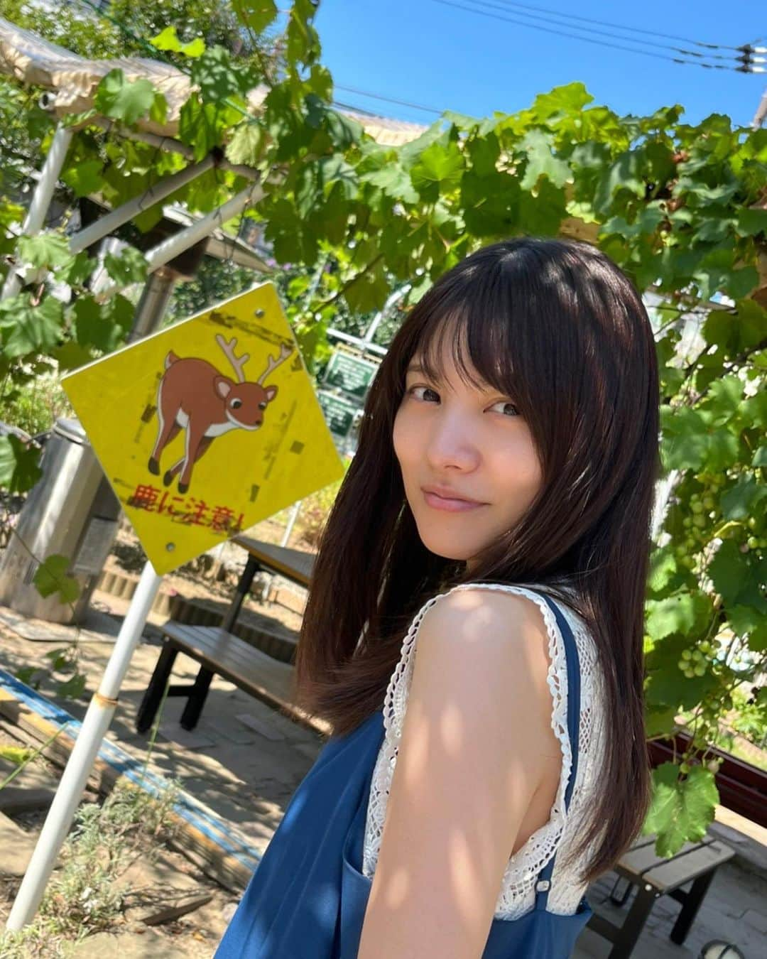 松永有紗さんのインスタグラム写真 - (松永有紗Instagram)「🐣 🐣  #まねじゃ 🐥 #松永有紗 担当マネージャーの まねじゃです。  何かを食べ。 何かを飲み。 鹿に気をつける。  そんな、とある日の#松永 さん🐤  #撮影 #オフショット  #ランチ #鹿  #lunch  #photo  #happy」8月22日 21時02分 - arisa_matunaga