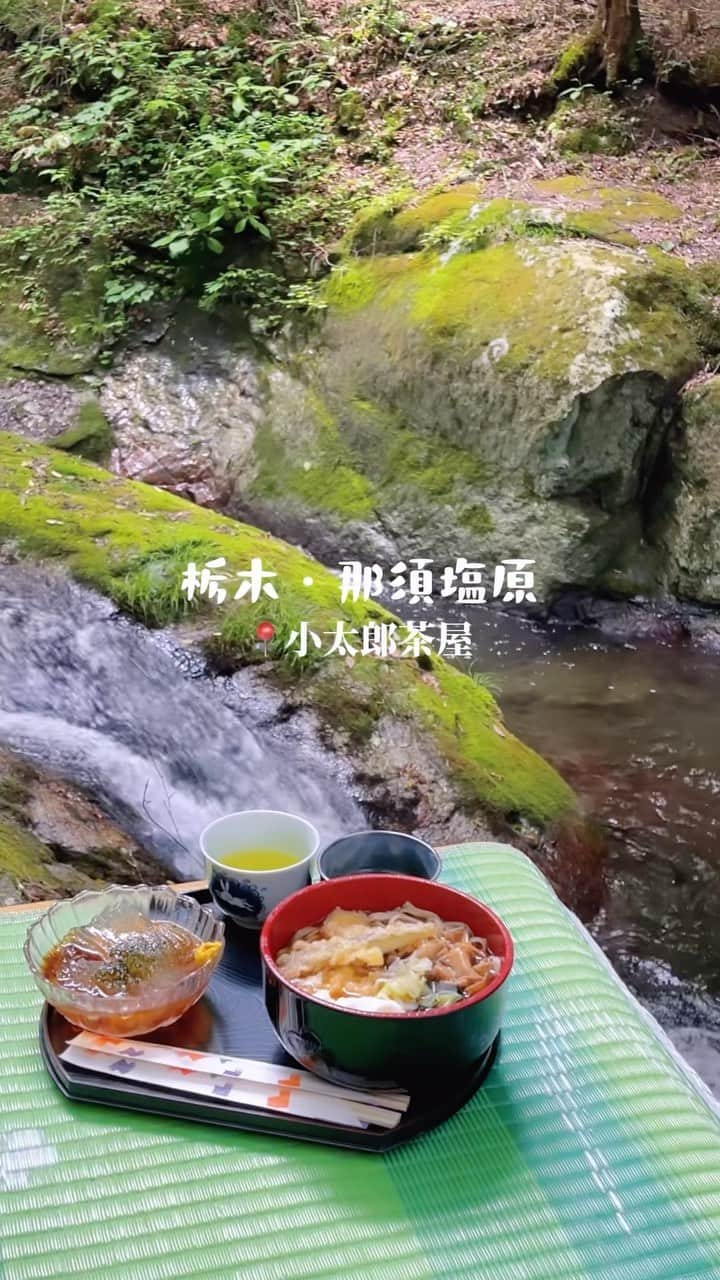 神田咲凛のインスタグラム：「川沿いの茶屋in栃木・那須🌿🤍  📍Suzuの森カフェ 栃木県那須塩原市塩原683-2  9:00-17:00 ペットテラス可🐶  📍小太郎茶屋 栃木県那須塩原市塩原14-36 10:00-15:00 ペット可🐶  お昼頃には名物の草団子は売り切れで 14時くらいにはお店が閉まってたので注意⚠︎  ストーリーズに載せたら 質問たくさんいただいたので リールに残しておきまーす🫶  2店とも2キロ圏内に位置してるのでハシゴもできる🚘 . . . . . . . . . . . . . . . . . #栃木#栃木グルメ #栃木カフェ #栃木観光 #那須観光 #那須塩原 #那須カフェ #那須旅行 #那須#那須グルメ #川沿いカフェ #川沿い#テラス#テラス席#ペット可 #犬連れok #犬連れランチ #赤ちゃん連れ旅行 #赤ちゃんと犬#赤ちゃん連れok #小太郎茶屋#カフェ巡り #カフェ部 #カフェ活 #かき氷#かき氷部 #茶屋#絶景カフェ」