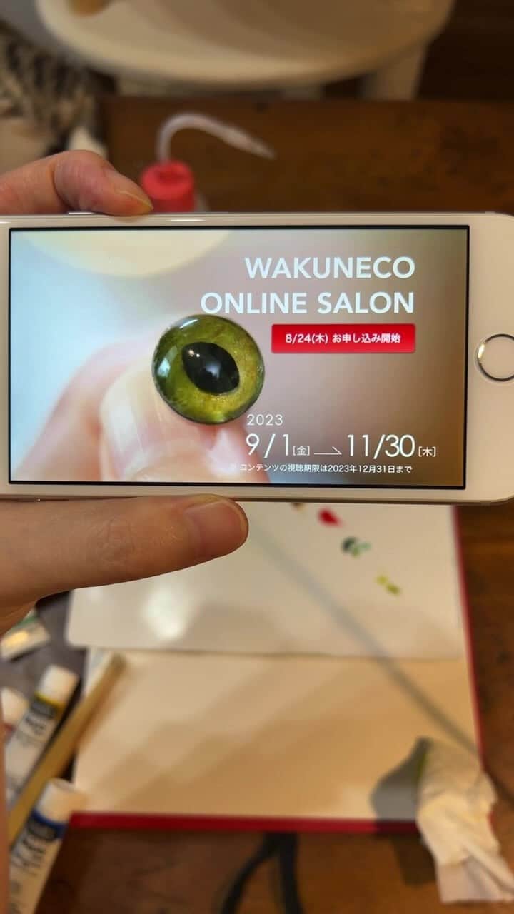 わくねこ羊毛フェルトのインスタグラム：「わくねこオンラインサロン 告知ライブアーカイブです💁‍♀️💗」