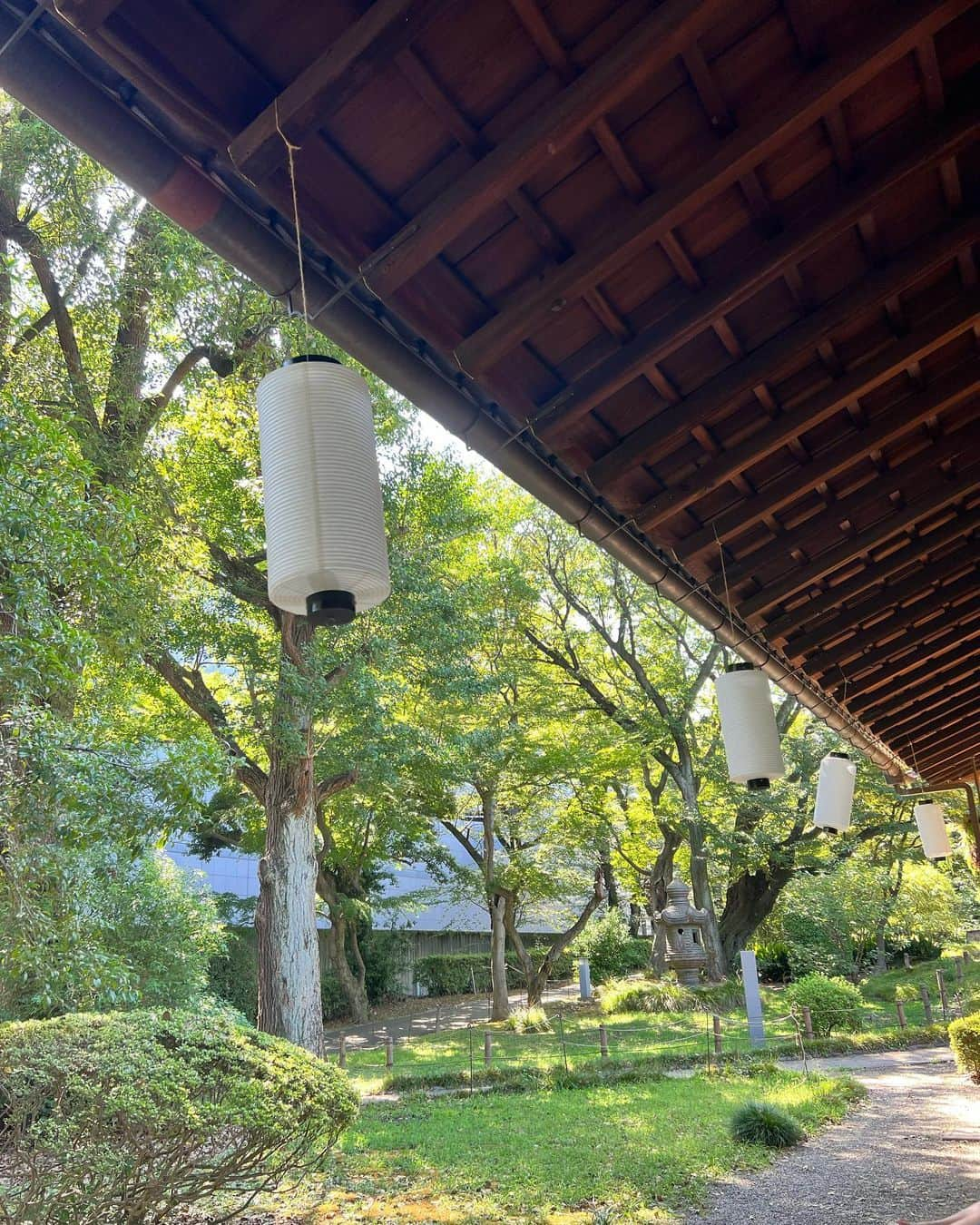 藤田陽子さんのインスタグラム写真 - (藤田陽子Instagram)「お友達にお誘い頂き、東京国立博物館のお茶室でランチ  国立博物館は、何度も訪れているけど、お茶室があるのは知りませんでした。 というのは、ここ、普段は非公開なんですって。  それが、来年の1月いっぱいまで、試験的にカフェとしてオープンしているの 都内にいながら京都に旅行気分が味わえますよ〜✨  @yoko.fujita.official  @define_beauty_japan  @definebeautyjapan   #国立博物館 #お茶会 #お友達 #女子会 #女子会ランチ #楽しかった #旅行気分 #アラフィフコーデ #アラフィフ #アラフィフ女子 #アラフィフファッション #アラフィフライフ #japantravel #japantrip #maccha」8月23日 8時23分 - yoko.fujita.official