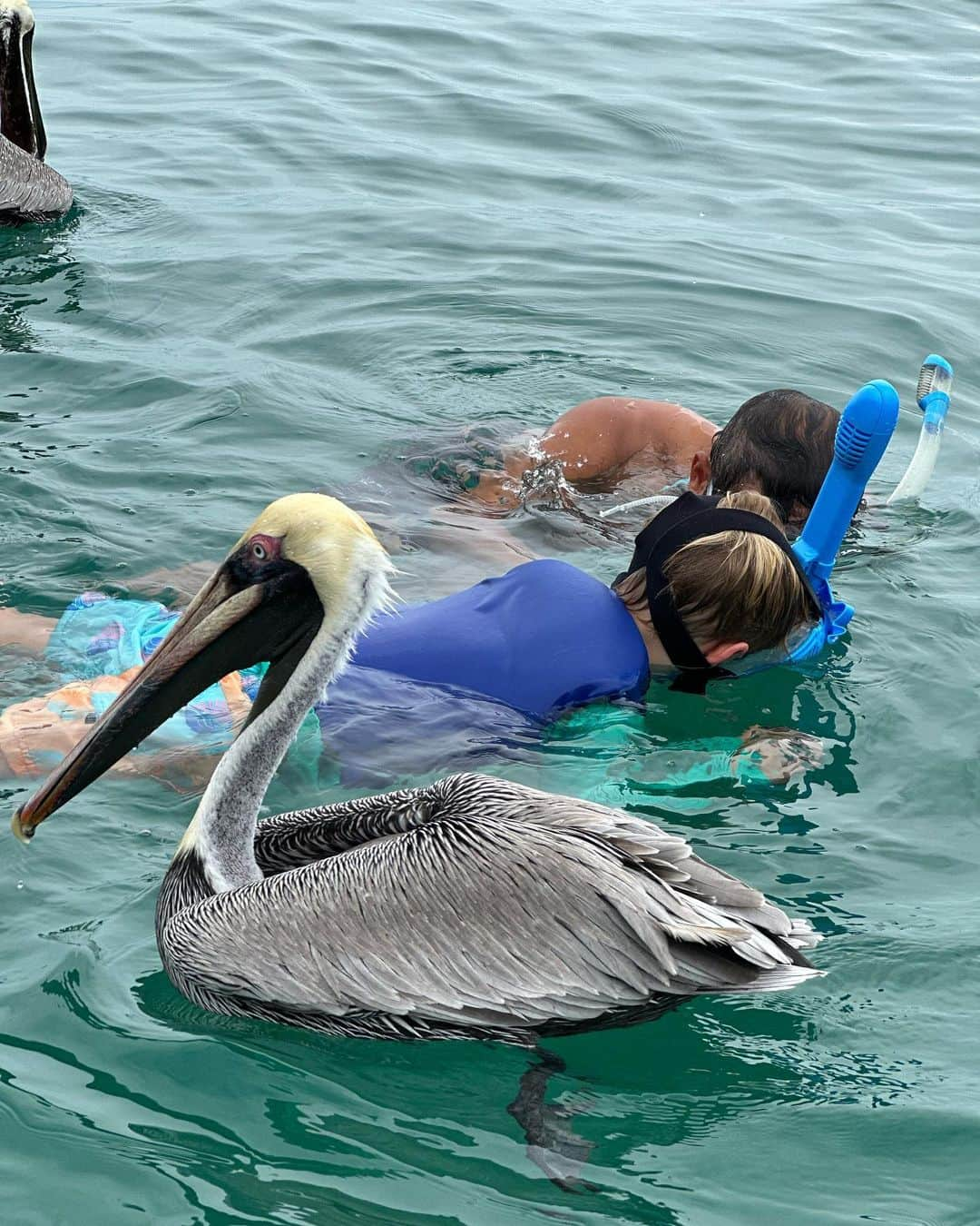 エリック・ウィンターさんのインスタグラム写真 - (エリック・ウィンターInstagram)「A day to remember with Captain Pelican in Aguadilla 🇵🇷 what an awesome experience. #familytime #secondhome❤️ #puertorico @crashboatexperiences」8月23日 6時55分 - ebwinter