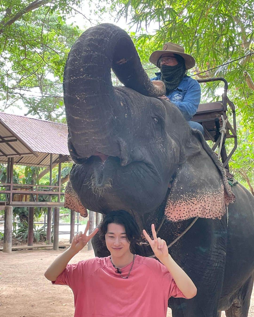 北村健人のインスタグラム：「🐘🇹🇭」