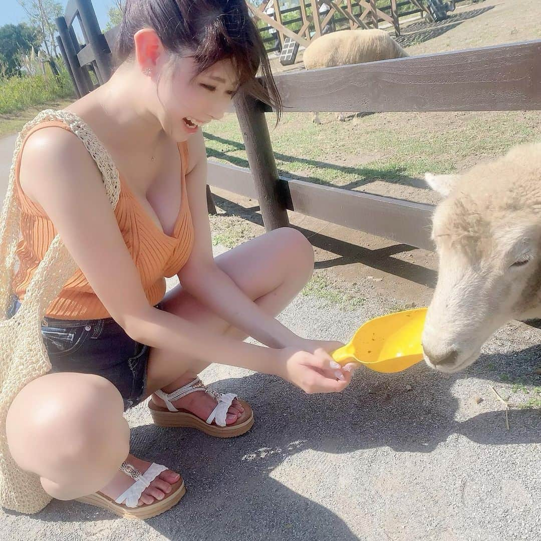 三田サクラさんのインスタグラム写真 - (三田サクラInstagram)「暑そうだった🐑🔥」8月22日 23時30分 - mitasakura.fs