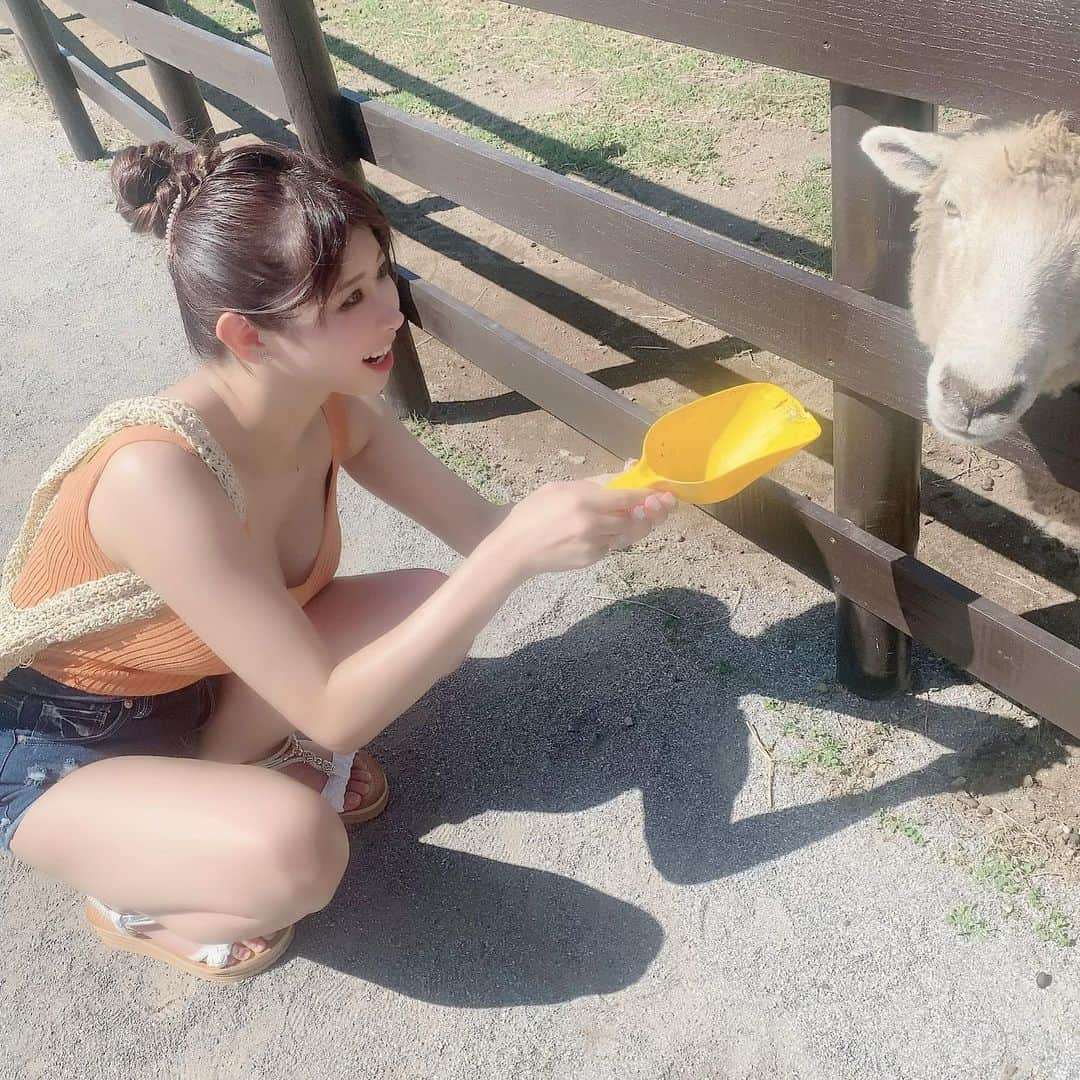 三田サクラさんのインスタグラム写真 - (三田サクラInstagram)「暑そうだった🐑🔥」8月22日 23時30分 - mitasakura.fs