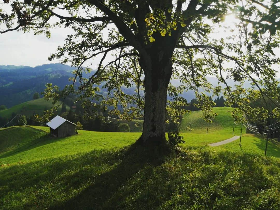 福間洸太朗さんのインスタグラム写真 - (福間洸太朗Instagram)「Souvenirs in the Switzerland I was invited to a friend's lodge in Hörnli, mountain near Zürich, where I was allowed to practice piano the whole night. It was so beautiful and inspiring!! 🤩  #hörnli #Switzerland #schweiz  #Suisse #mountain  #Montagne #berge」8月22日 23時41分 - kotarofsky