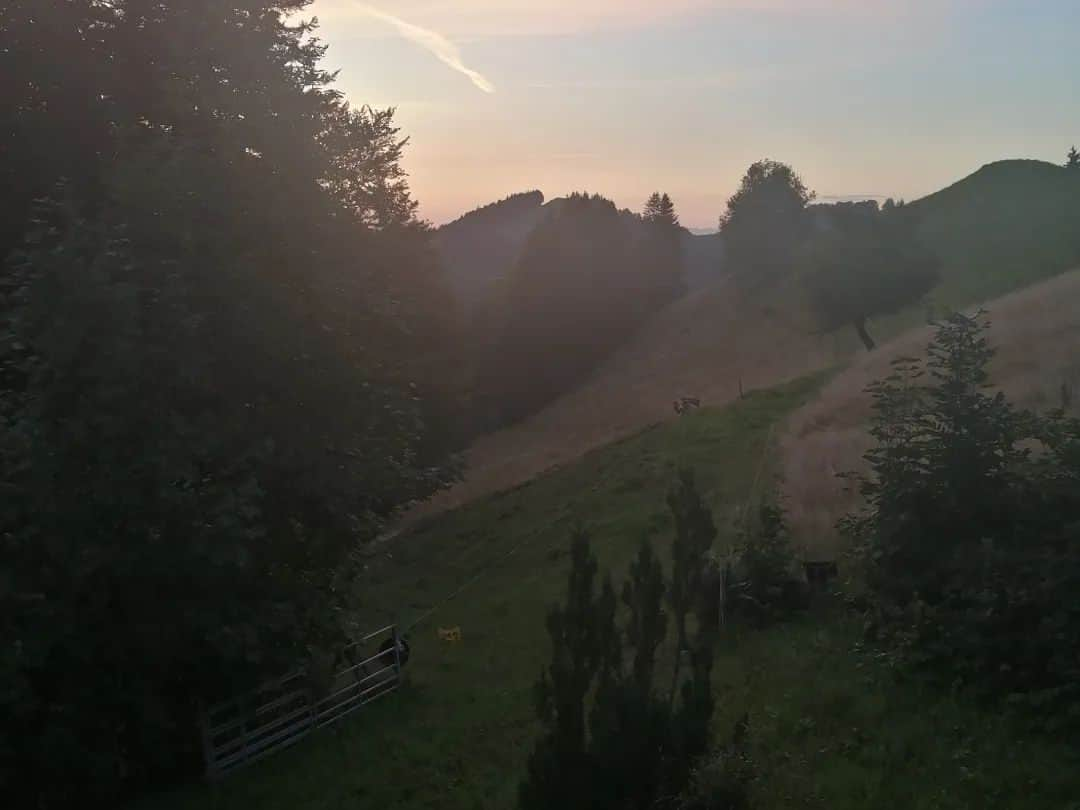 福間洸太朗さんのインスタグラム写真 - (福間洸太朗Instagram)「Souvenirs in the Switzerland I was invited to a friend's lodge in Hörnli, mountain near Zürich, where I was allowed to practice piano the whole night. It was so beautiful and inspiring!! 🤩  #hörnli #Switzerland #schweiz  #Suisse #mountain  #Montagne #berge」8月22日 23時41分 - kotarofsky