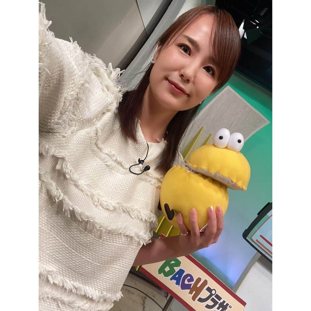 舘谷春香さんのインスタグラム写真 - (舘谷春香Instagram)「今日もテレビ埼玉BACHプラザ ありがとうございました！📺  今日はボートレース戸田＆川口オートW優勝戦でした！ どちらもたっぷりお伝えしました🌻 明日22:30までホームページで見逃し配信もありますのでぜひ！  本日の衣装は @nw_select さんにお借りしました🤲 ツイードカットソー🕊 とても可愛くて着心地も良くて素敵でした🌻  ありがとうございました☺️💓  #テレビ埼玉 #BACHプラザ #バッハプラザ #テレ玉 #公営競技 #ボートレース #ボートレース戸田 #川口オート  #埼玉 #戸田 #ボート #すーなか さん #舘谷春香 #アナウンサー #MC #アナウンサー衣装 #衣装提供 #nauwaleno #STYLIA @stylia_official」8月22日 23時54分 - tty0250hrk