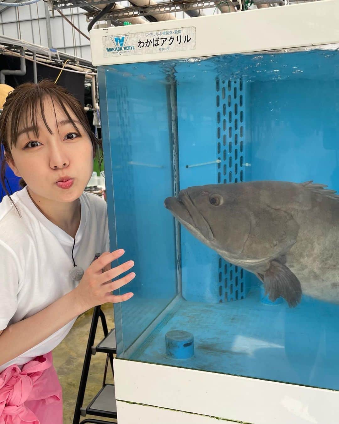 須田亜香里さんのインスタグラム写真 - (須田亜香里Instagram)「海上に8時間いて今年イチ日焼けしたロケ☀️🌊 高級巨大魚のクエを平坂さんと釣りに行ったら凄いことが起きました。  8月24日(木)19:57～ NHK大阪 【巨大魚&幻の魚を追え！】 NHKプラスでの配信もあります！ 絶対観て！  写真は巨大魚用の餌を釣ってる姿。 テレビカメラは回ってないのですが、ひたすら釣ってた(笑) 写真ないけど、鯖が6匹くらい鈴なりになって釣れた時もあったよ😎✌️  グループで釣り師って呼ばれてたから（握手で）これまで仕事で何度か海釣り行ってるけど、この日は今まででいちばん頑張った😂 普段はお魚捌けないくらいのレベルの人だけど、仕事ならできる(笑) #釣りガール #巨大魚 #和歌山県」8月22日 23時50分 - akarisuda
