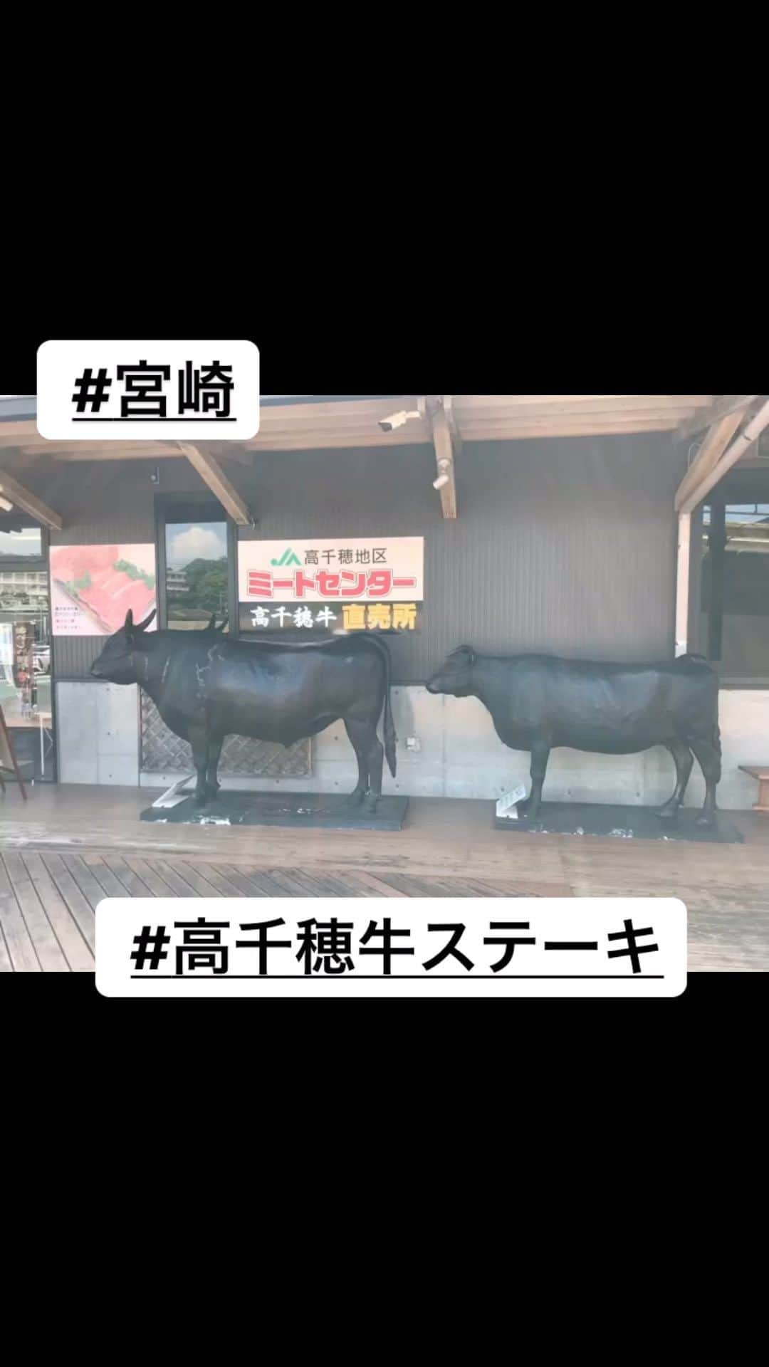 静岡グルメ情報のインスタグラム：「# 宮崎  #高千穂牛」