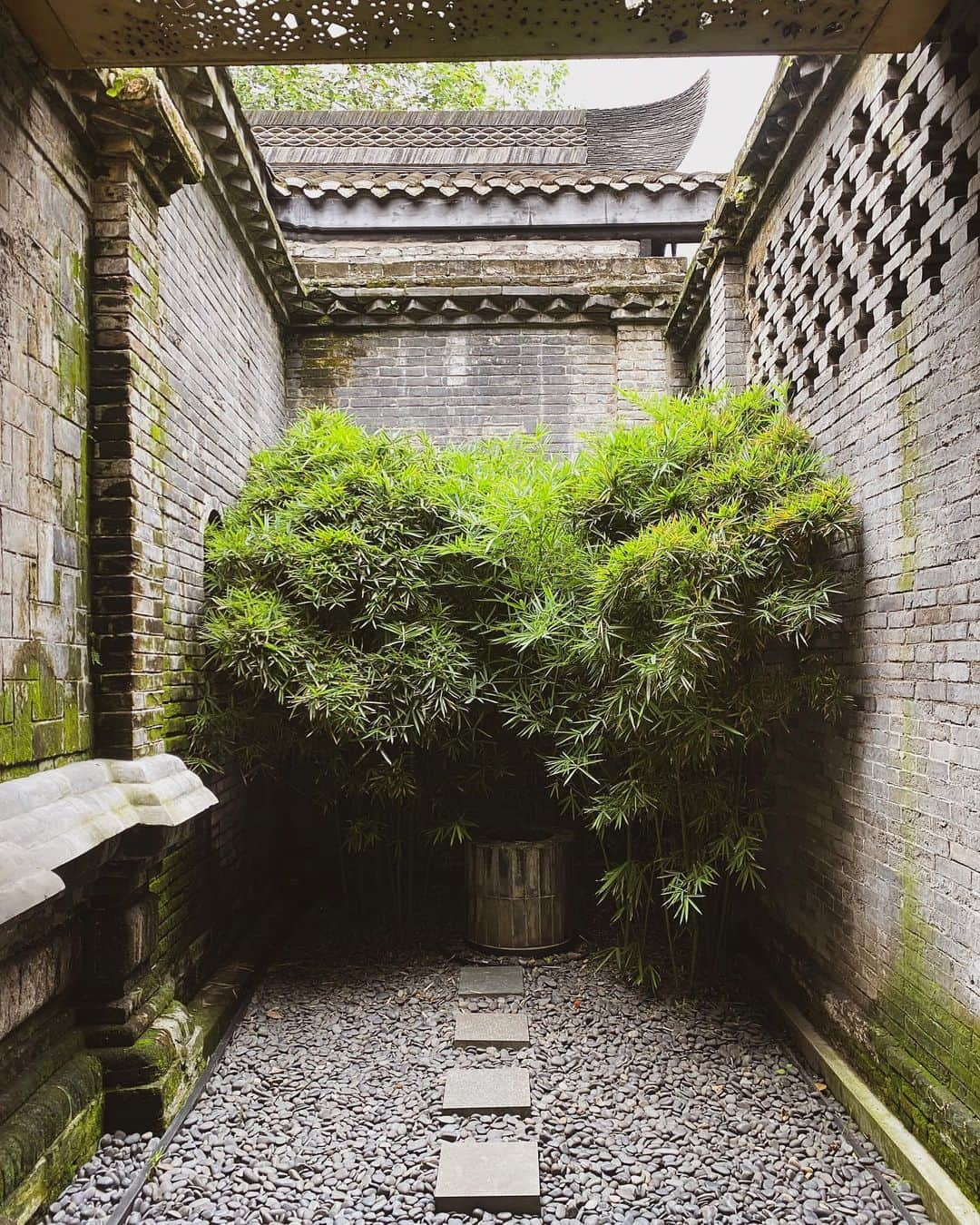 ルイス・タンさんのインスタグラム写真 - (ルイス・タンInstagram)「In the heart of Chengdu China, a deeply transformative experience in many ways. Thank you @templehousecdu for curating the perfect home.   #TheTempleHouse #TheHouseCollective #HousesNotHotels」8月23日 0時21分 - lewistanofficial