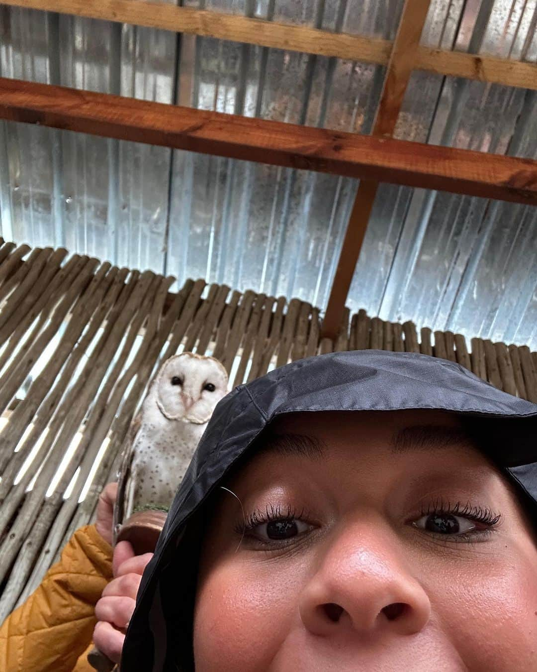 Nia Sioux Frazierさんのインスタグラム写真 - (Nia Sioux FrazierInstagram)「South African summer   #hosted  #ABDinSouthAfrica @adventuresbydisney」8月23日 2時04分 - niasioux