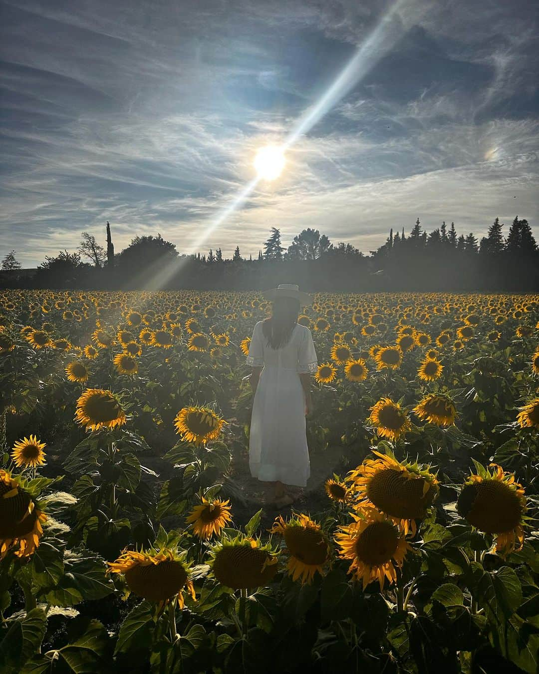 アビゲイル・スペンサーさんのインスタグラム写真 - (アビゲイル・スペンサーInstagram)「Made it to #Provence …  (… hi, Georgie. 🌻❤️‍🩹)」8月23日 2時09分 - abigailspencer