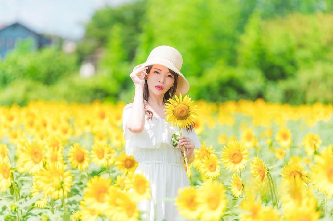 Mikaのインスタグラム：「『sunflower』  🌻🌻🌻  手に持ってる向日葵は畑のオーナー様からプレゼントして頂いたものです(´∀｀*)♡  とても元気で可愛かった✨  ・ ・ ・ photo by @isanori.m 📸 model @mika_portrait  ・ ・ ・ ・ follow me💋  #美花展 #向日葵撮影 #向日葵ポートレート #向日葵畑 #向日葵が好き  #被写体モデル #カメラ女子 #キリトリセカイ #ポートレートセレクション #ポートレート撮影 #被写体依頼受付中 #スクリーンに恋して #カメラマンさんと繋がりたい #被写体なります #ポートレートしま専科 #写真を止めるな #jp_portrait部 #jp_portrait_collection #portrait #japanesegirl #asiangirl #love_camera_club #asianbeauty #portraits_dream #good_portraits_world #super_portrait_channel #pocket_people #top_portrait_photo #sunflowerseason  #tokyocameraclub」