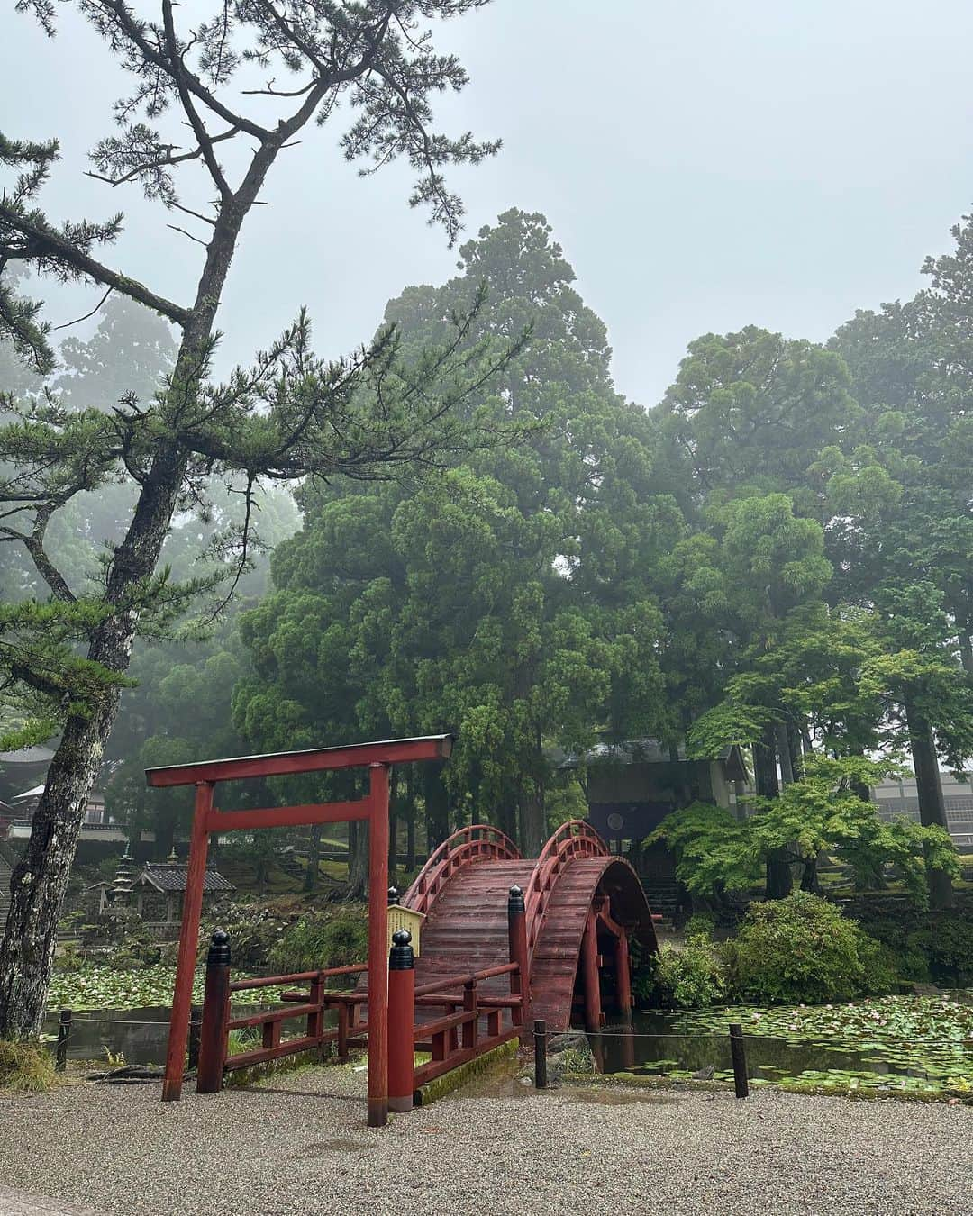 坂元美香のインスタグラム：「旅のつづき  朝熊岳 金剛證寺  伊勢神宮の鬼門を守るお寺として 神宮の奥之院ともいわれているそうで、 昔から伊勢神宮のあとは ここを参詣するのが常であったそうです。 （当日の早朝に知ったばかりの情報）  本当に誰もいなくて駐車場に 車も一台もとまってないから ここで良いのかかなり戸惑い ドキドキしてました。  誰もいない雨が降る霧の中を ずっと1人で歩いていたのですが、 雨と風の音しかしなくて ときどきふわふわとぬるい風がふいて なんだか現実味がなくて 夢の中にいるような感覚でした。  今思い出しても あれは夢だったのかしら🤔 と思ってしまうくらいふわふわしてた。 写真があるので現実だけど😅  なんとも不思議な感覚の参拝でした✨  #朝熊岳金剛證寺 #金剛證寺 #伊勢神宮 #伊勢神宮の奥之院 #坂元一人旅」