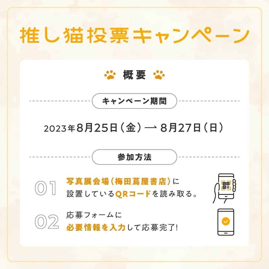 コスモウォーター【公式】さんのインスタグラム写真 - (コスモウォーター【公式】Instagram)「先日は「ねこにすと×コスモウォーター」のコラボ企画『幸せなにゃんこ写真展』にたくさんのご応募をいただきありがとうございました🐱  今週8/25（金）より、いよいよ梅田蔦屋書店で写真展が開催となります！  写真展の会場では、お気に入りの猫ちゃんに投票できる「推し猫投票キャンペーン」を実施します！ 投票で上位12位に選ばれた猫ちゃんは、2024年のコスモウォーターオリジナル「推しねこ卓上卓上カレンダー」に掲載されます📅  そして、カレンダーは当日投票に参加いただいた方の中から、抽選で100名様にプレゼントいたします！ ぜひあなたのお気に入りの猫ちゃんに一票を投票ください🎵  その他、梅田蔦屋書店に展示されている猫デザインのウォーターサーバー「smartプラスにゃんモデル」をSNSに投稿するとプレゼントが当たるキャンペーンも実施中✨ 投稿キャンペーンについては、ピン留めしている投稿をご確認ください。  写真展の詳細はプロフィールリンクをご確認ください！  --------------------------- 「幸せなにゃんこ写真展」概要  【期間】 2023年8月25日(金)～27日(日)  【会場】 梅田 蔦屋書店 〒530-8558　大阪府大阪市北区梅田3-1-3　ルクア イーレ9F 営業時間：10:30～21:00  【入場料】 無料 ---------------------------  #コスモウォーター #コスモウォーターのある暮らし #ウォーターサーバー #ウォーターサーバーのある生活  #天然水 #美味しい水 #QOL向上 #生活の質 #ていねいな暮らし #シンプルな暮らし  #水分補給 #暮らしを楽しむ #暮らしのアイデア #新生活グッズ #新婚生活 #子育て #猫 #コスモウォーターにゃんモデル2023 #コスモウォーターにゃんモデル #にゃんモデル #ねこ #猫写真 #ねこにすと #猫のいる暮らし #猫好きさんと繋がりたい #ねこのきもち #ねこ部」8月23日 16時37分 - cosmowater.official