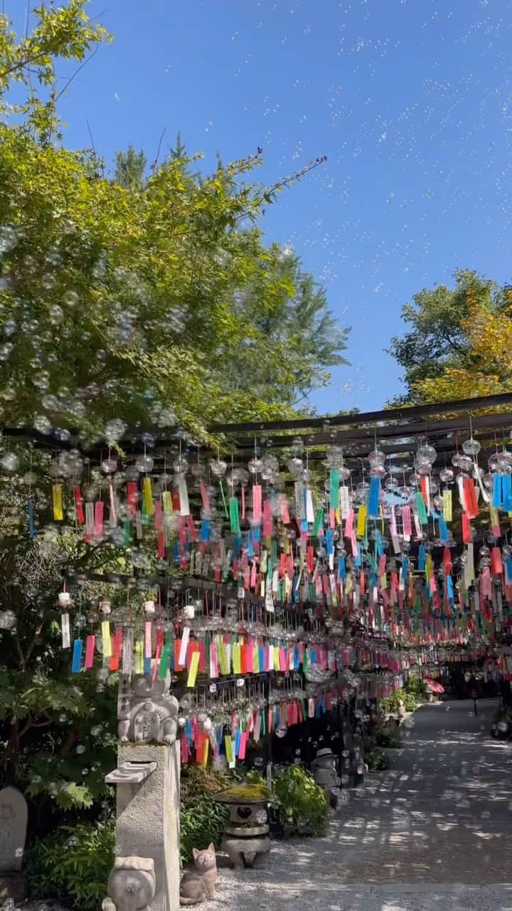 川原由維のインスタグラム：「【三井寺🎐🫧】  #神社仏閣 #風鈴 #シャボン玉 #福岡県 #田川市 #三井寺 #夏の思い出」