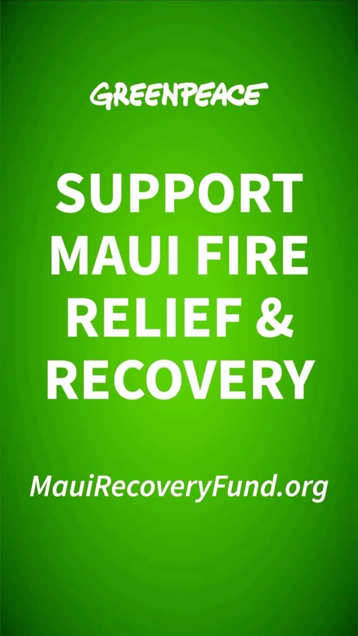 ジェーン・フォンダのインスタグラム：「Over 100 people are confirmed dead from the #MauiFire with more than 800 still missing. The destruction to the historic town of Lāhainā is devastating. I’m talking with Kaniela Ing, Native Hawaiian and National Director of the Green New Deal Network, to get a sense of what’s happening on the ground and how all of us can help.   Please, join me in donating whatever you can to Mauirecoveryfund.org (link in bio) and follow @kanielaing for updates and more ways to support. #MauiStrong #LahainaStrong   Follow @firedrillfriday and @greenpeaceusa to join the fight against the #ClimateCrisis making extreme weather events like this more frequent and severe.」