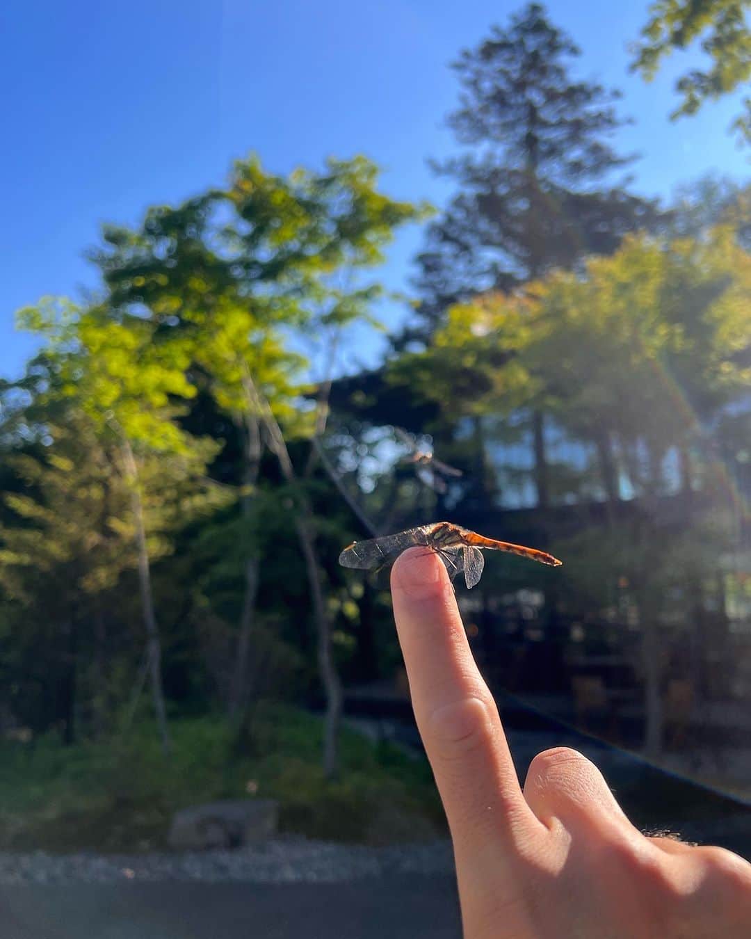 松永祥兵さんのインスタグラム写真 - (松永祥兵Instagram)「本当に素晴らしいホテルでまたいつか泊まりたい☺️  #mariottbonvoy カードは本当にオススメです👌  #marriottbonvoy #マリオットヴォンヴォイ #リッツカールトン日光 #ポイント泊」8月23日 10時00分 - matsunaga.shohei