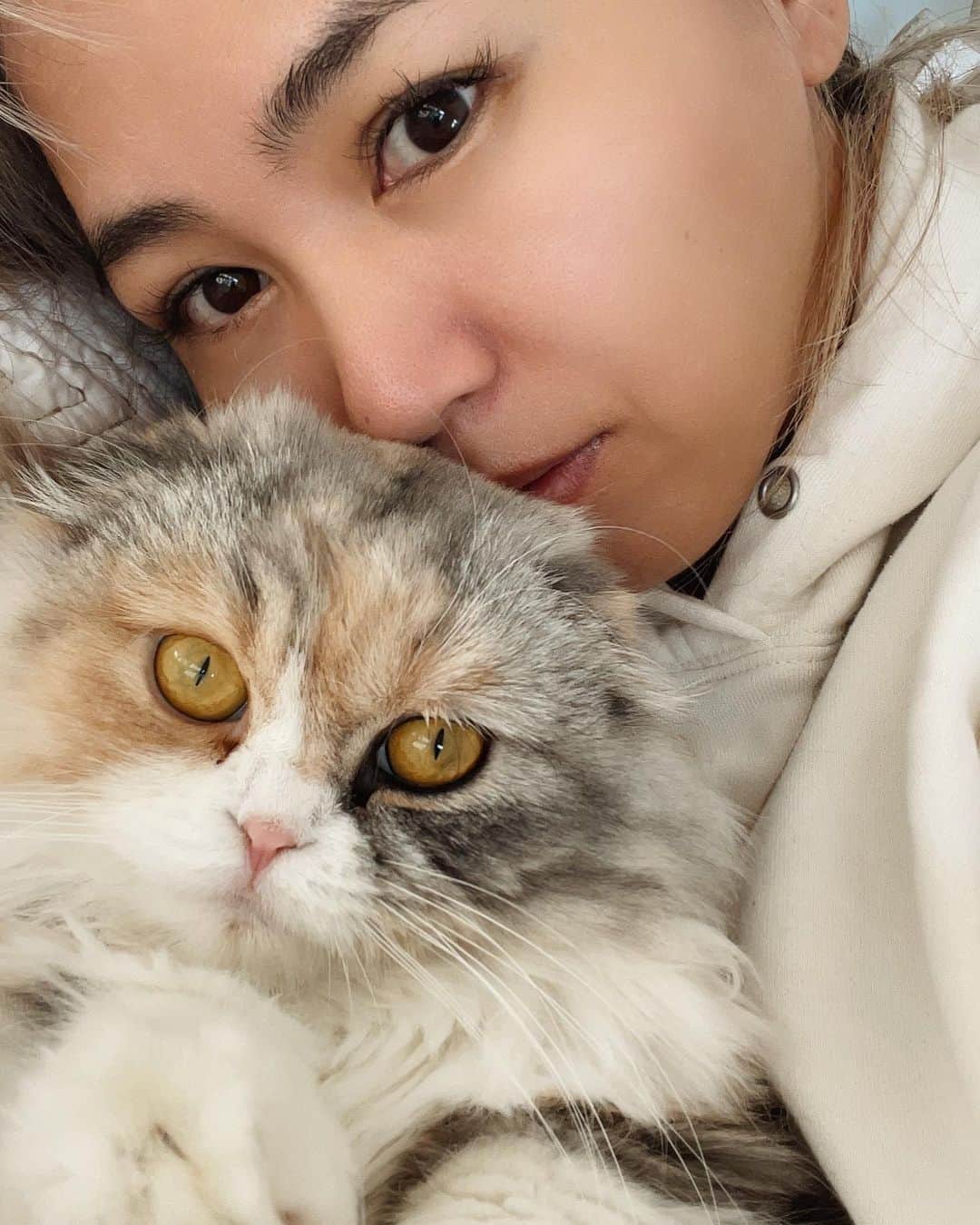 MINMIのインスタグラム：「hello 寝坊した今朝　この子といると眠くなるのよ！この子の名前は夜空♡ お父さんはアイクン　お母さんはマカさん。。。て事は、わたしおばあさん？😂　 今日は名誉挽回しなきゃっ🏃‍♂️ みんな最幸の一日しようね♡ with love」