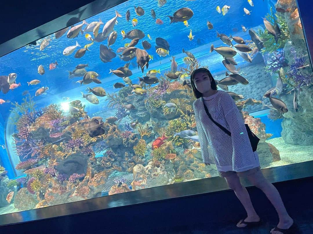 内山由綺のインスタグラム：「老後は水族館の近くに住みたい🐠🐬🐟🐳🐋🦈🦭🐡」