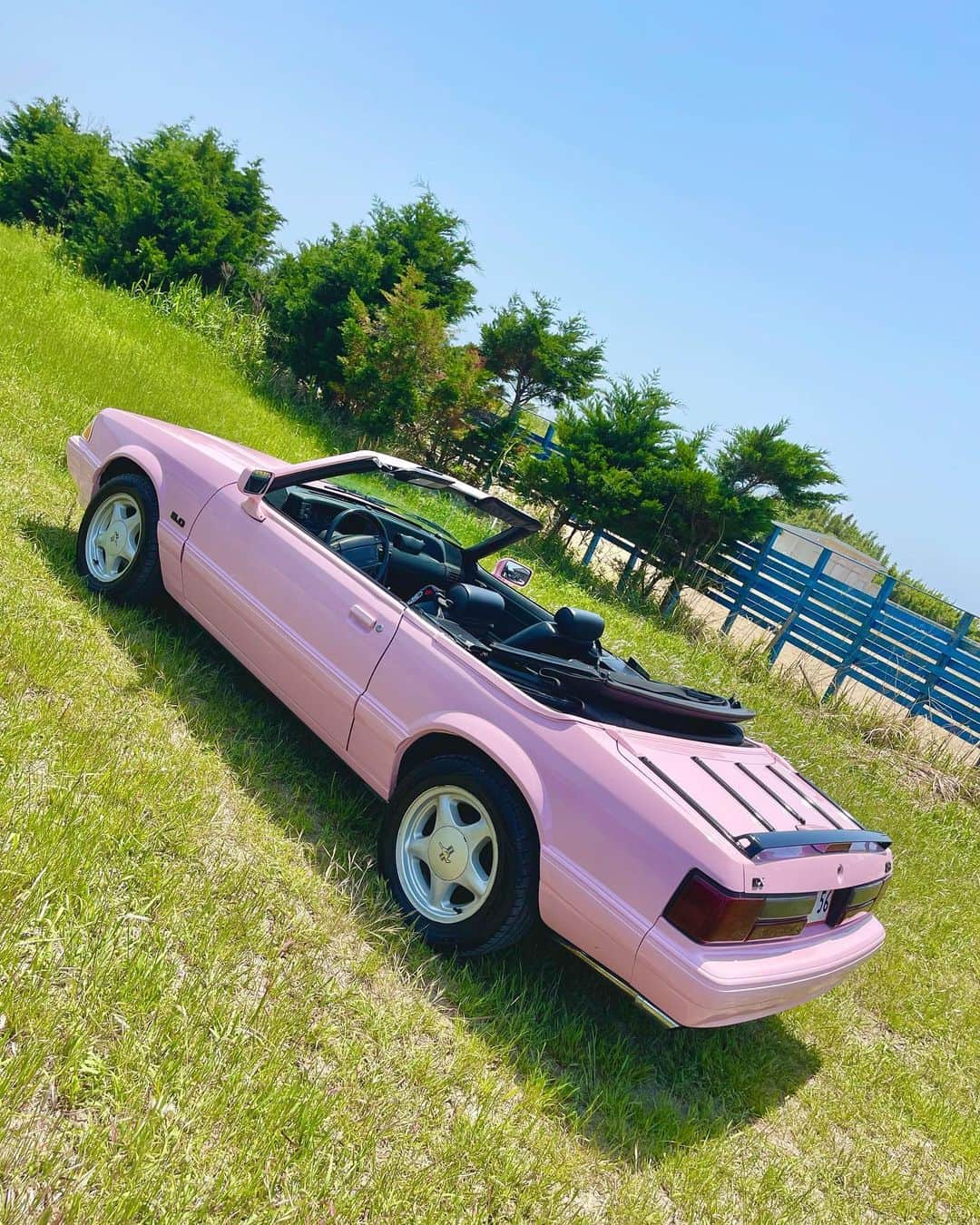 Staxx Tさんのインスタグラム写真 - (Staxx TInstagram)「PINK! PINK! PINK!👅  マスタングは @y_tech_co_ltd & @buffalo.designs の共作、チャリンコはジモティーで1000円で買って塗ったのは俺&監督  #CREAM #GAMEOVER #CHAPTERS #allpinkeverything」8月23日 11時26分 - staxxt_cream