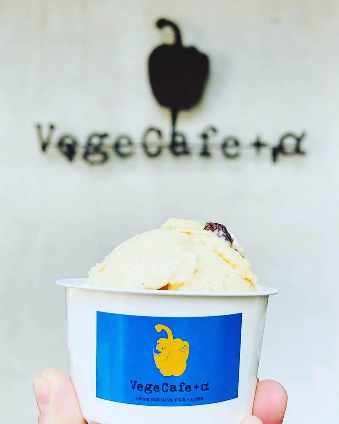 vegecafe＋αさんのインスタグラム写真 - (vegecafe＋αInstagram)「ホームメイドラム& オーガニックレーズン🍨  スタッフおすすめフレーバーNo.2✨ 濃厚なバニラにオーガニックの手作りレーズンがアクセントに、甘味を引き立たてつつすっきりした後口に♫ ミルクフレーバーのジェラートです😋  先日の「まつこの知らない世界」📺 を視聴してすっかりお口がジェラート気分です😍  当店では、アフォガードにもこちらのフレーバーを使用しています☕️ お家でもぜひお試しください😊  ➖➖➖➖➖➖➖➖➖➖➖➖➖ 💡 recruitment💡  vegecafe＋αでは 土日に一緒に働いてくれるスタッフを 募集しております🌟 興味のある方は、 ☎️06-6305-3262 (採用担当)まで お問い合わせ下さい。  #vegecafe #ベジカフェプラスアルファー #ベジカフェプラスアルファ#大阪カフェ巡り #大阪カフェ部 #新大阪グルメ#新大阪カフェ#西中島グルメ#西中島南方グルメ #ジェラート#アイス#アイスクリーム#野菜たっぷり#野菜たっぷりランチ #西中島南方カフェ #西中島南方ランチ #新大阪ランチ #ジェラート屋さん #ジェラート部」8月23日 11時49分 - vegecafe_plus_a