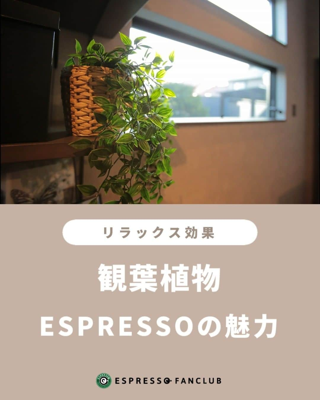 ESPRESSOさんのインスタグラム写真 - (ESPRESSOInstagram)「【ESPRESSO×観葉植物】  他の投稿はこちら → @espresso.fanclub  投稿をご覧いただきありがとうございます😊  今回は、ESPRESSOの観葉植物について紹介させていただきました。  ESPRESSOの魅力は観葉植物なしでは語れません。  ブルックリンカフェスタイルの魅力の正体は、観葉植物にありました。  ブルックリンスタイルのアパートESPRESSOと観葉植物との相性がとても良いです。  ダークトーンカラー、グレー、木目調（ウッド）、レンガ調がブルックリンスタイルの特徴。  内装の洗練された統一感に観葉植物の深緑色を少し加えることで、重厚感も残した癒やしの空間に。  観葉植物×間接照明もESPRESSOが人気な理由の一つ。  観葉植物に光を当てると、幹や葉の間を通り抜けた光が影を作り、幻想的な空間に。  無機質な小物インテリアもいきいきとした印象に早変わり、ロマンティックな空間に包まれます。  ＿＿＿＿＿＿＿＿＿＿＿＿＿＿＿＿＿＿＿  ESPRESSOのオリジナルグッズはこちら 　👉@espresso_fanclub_onlineshop ＿＿＿＿＿＿＿＿＿＿＿＿＿＿＿＿＿＿＿  感想や質問など、コメント・DM・メンションで頂けたらとても嬉しいです！  お気軽にお願いします！ よかったらフォローもしてください😊  #お家でインスタ映え #ESPRESSO ・ ・ ・ #ブルックリンスタイル #ブルックリンスタイルの家 #カフェスタイルの家 #カフェのような家 #カフェのような #カフェのような空間 #カフェみたいな家 #デザイナーズ賃貸  #観葉植物のあるくらし  #観葉植物インテリアグリーン  #観葉植物がある生活  #観葉植物のある家」8月23日 11時58分 - espresso.fanclub