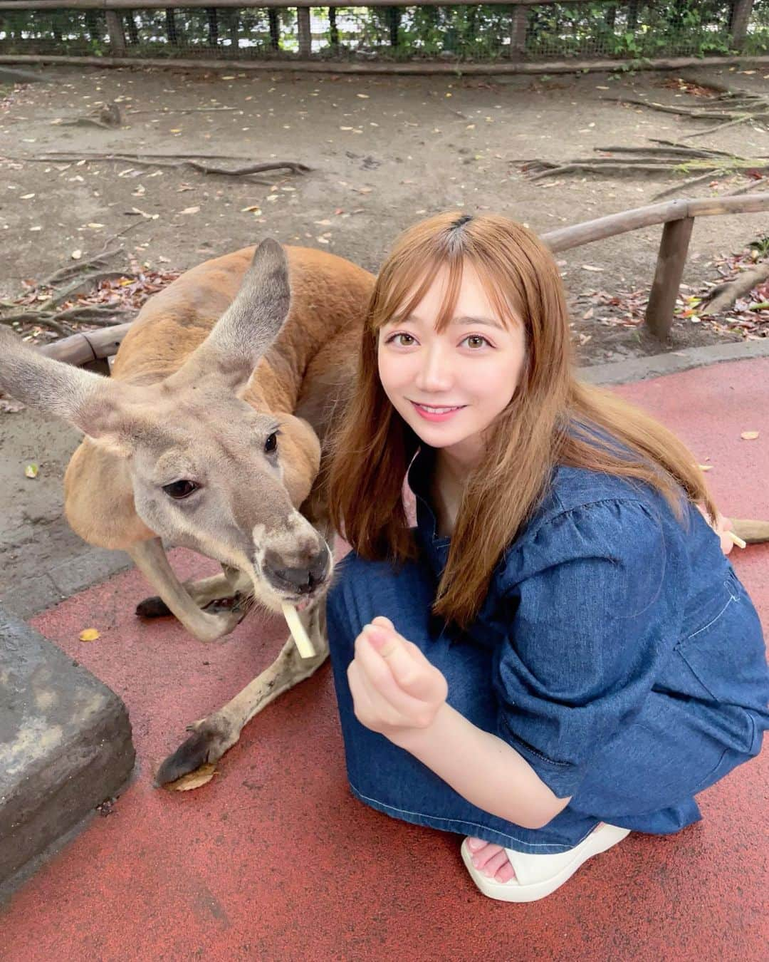 小澤しぇいんのインスタグラム：「可愛い動物達と触れ合ったよ🦘💕 大好きな動物達にとっても癒された♡  みんなはなんの動物が好き?🐘🦒🐄🐅🦙🐪  最後はおざわがモルモットに噛まれそうになってビビってる写真😂  #大分県 #大分県観光 #大分県宇佐市 #アフリカンサファリ #動物」